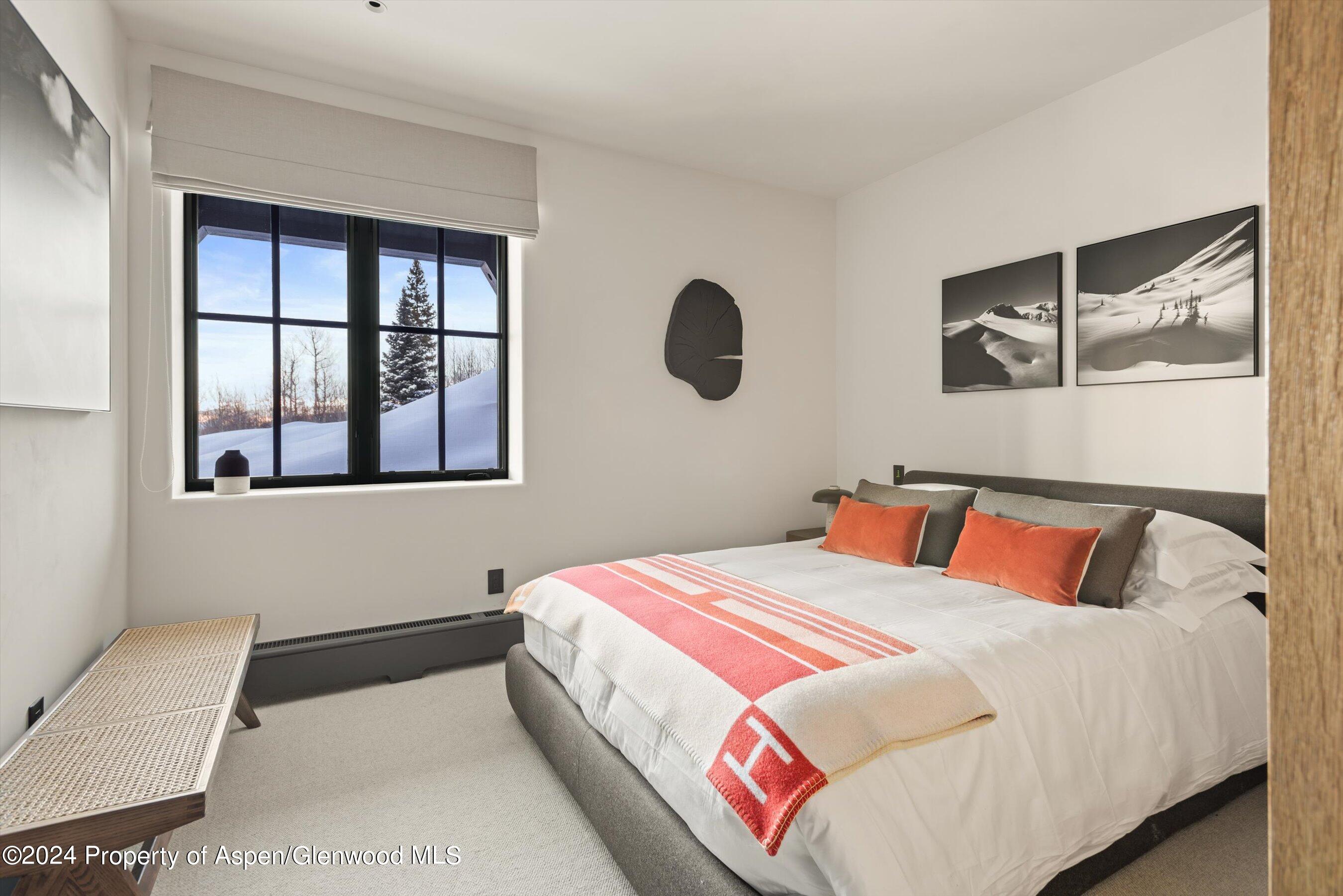 379 Divide Drive Snowmass Village CO 81615