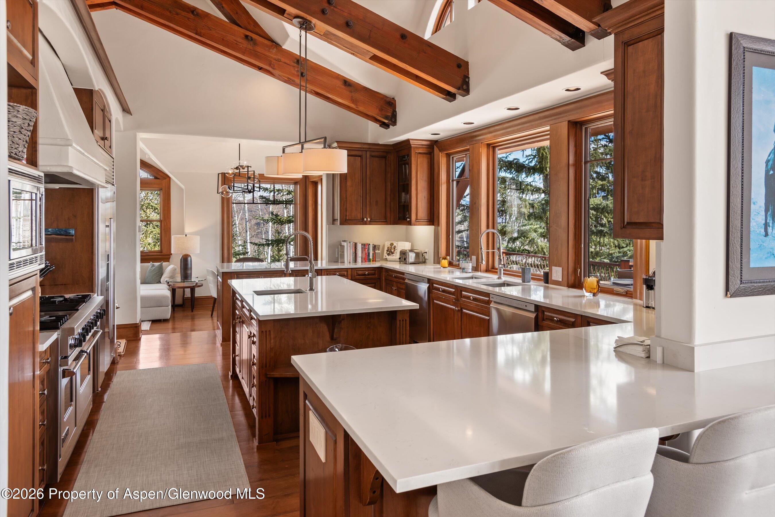 1000 Two Creeks Drive Snowmass Village CO 81615