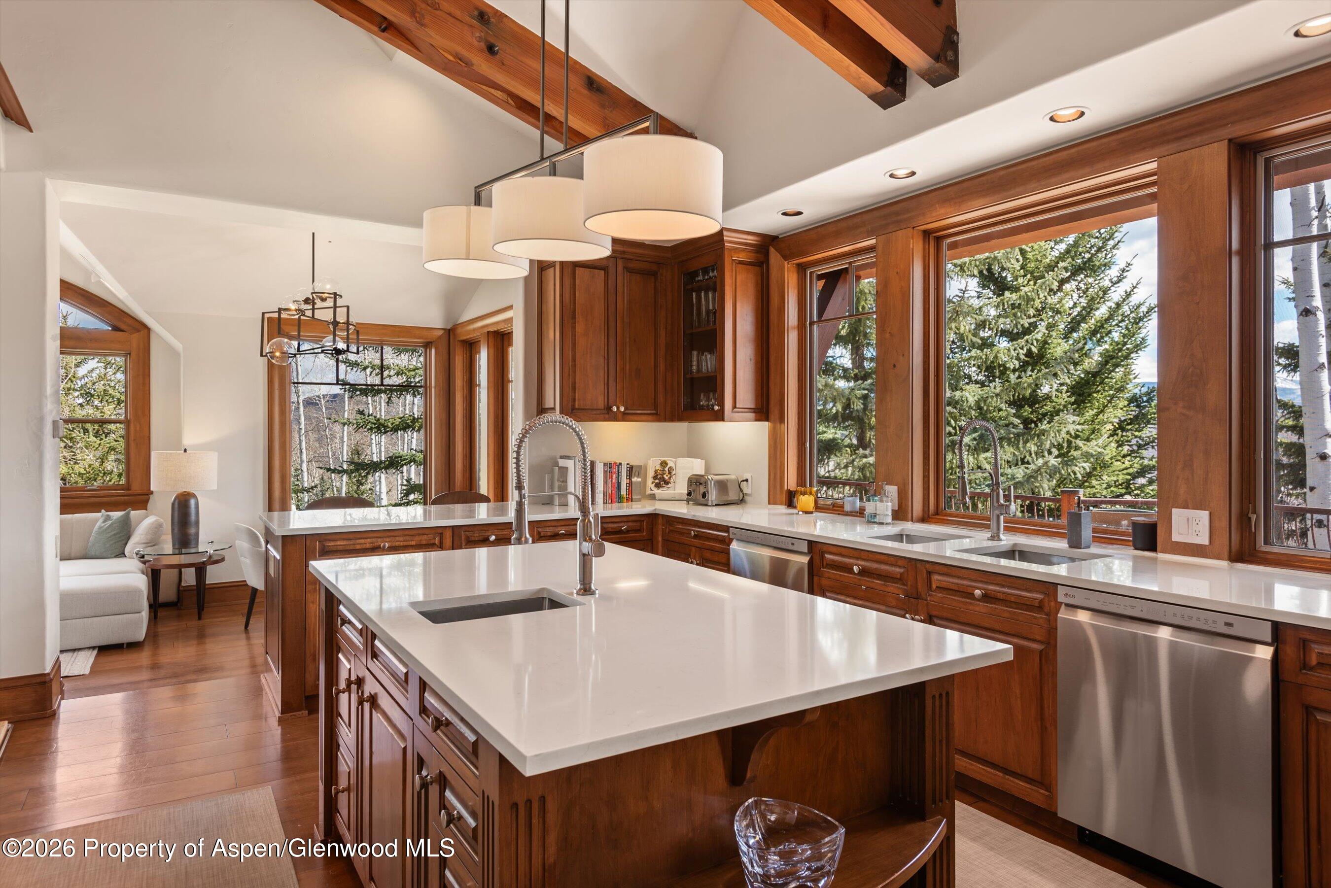 1000 Two Creeks Drive Snowmass Village CO 81615