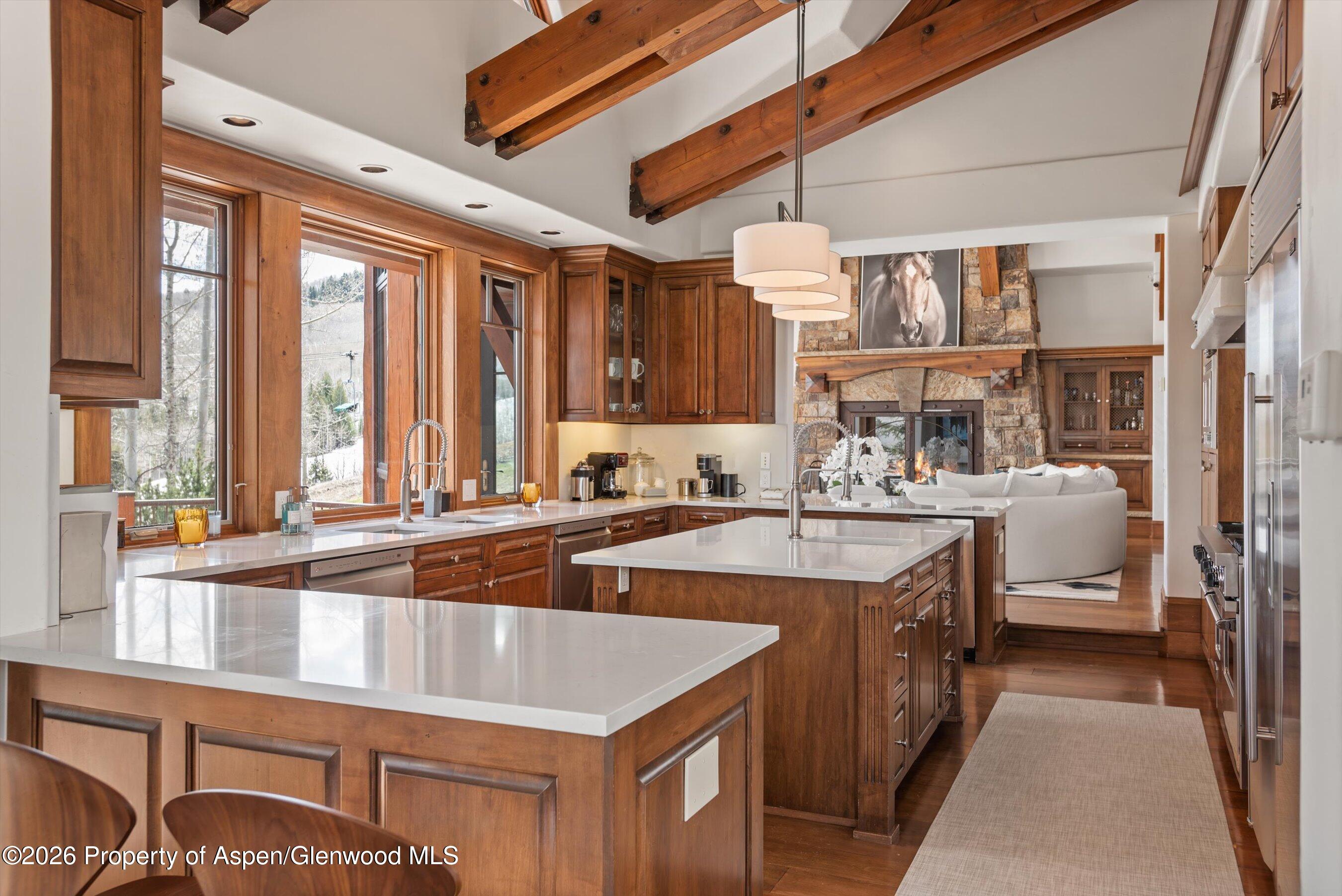 1000 Two Creeks Drive Snowmass Village CO 81615