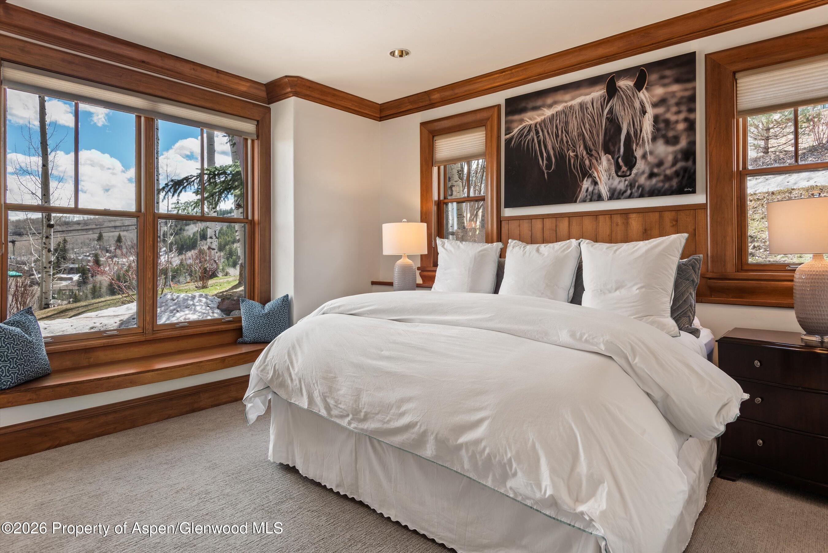 1000 Two Creeks Drive Snowmass Village CO 81615