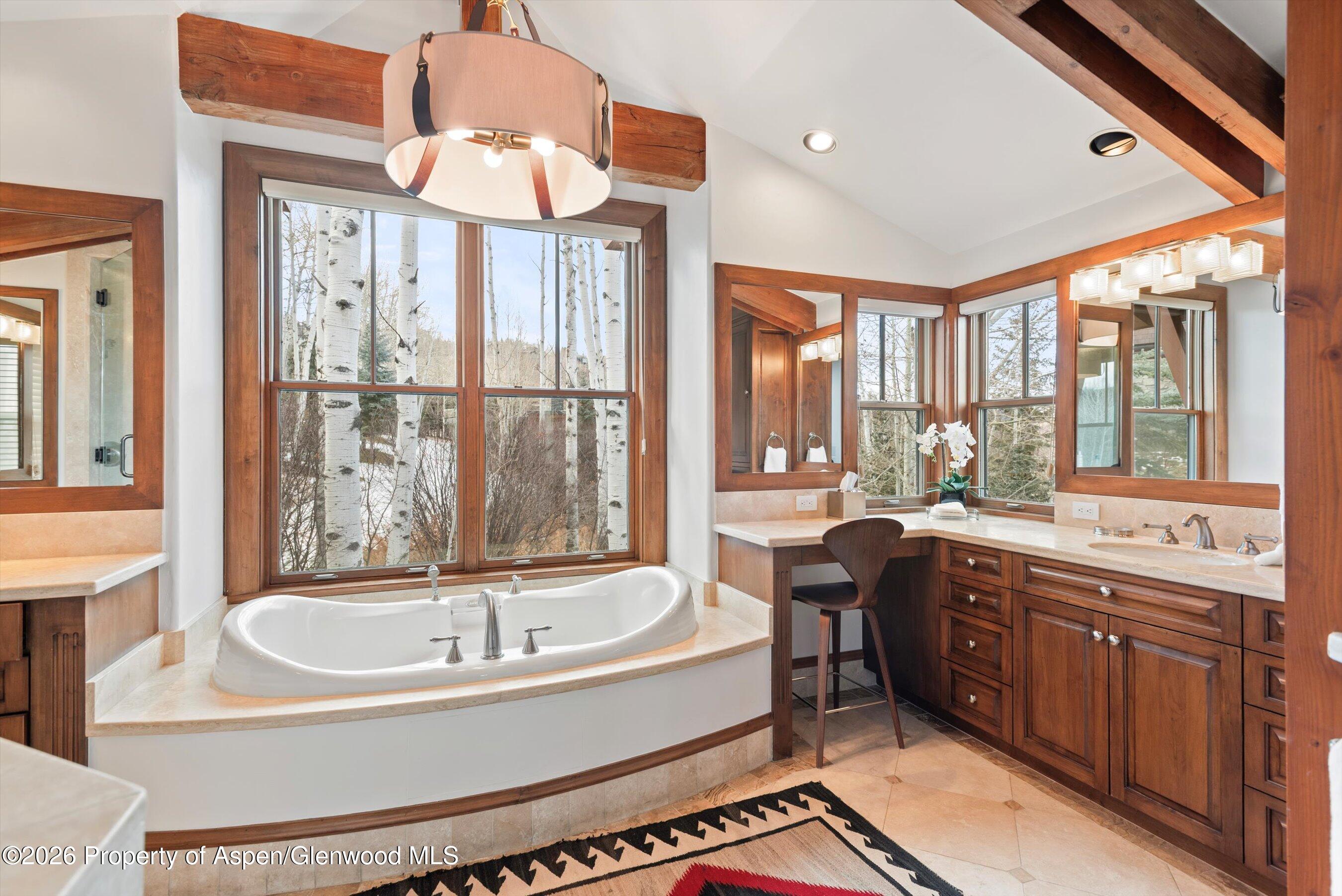 1000 Two Creeks Drive Snowmass Village CO 81615