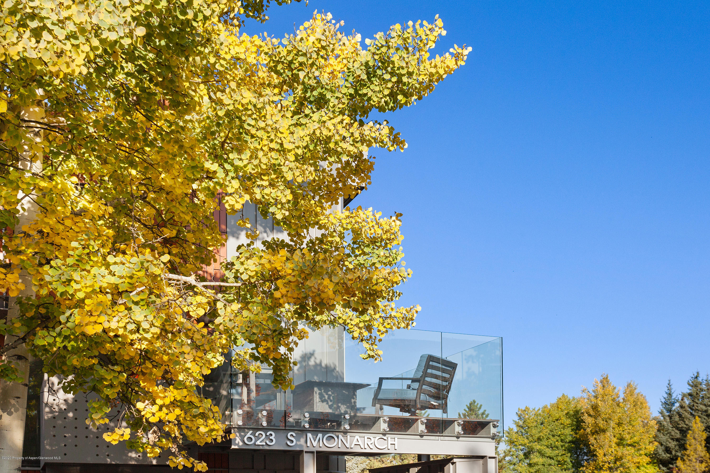 623 S Monarch Avenue Aspen CO 81611