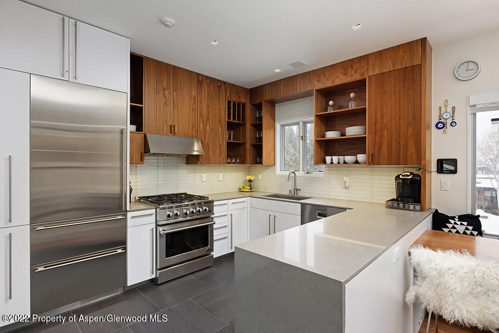 623 S Monarch Avenue Aspen CO 81611