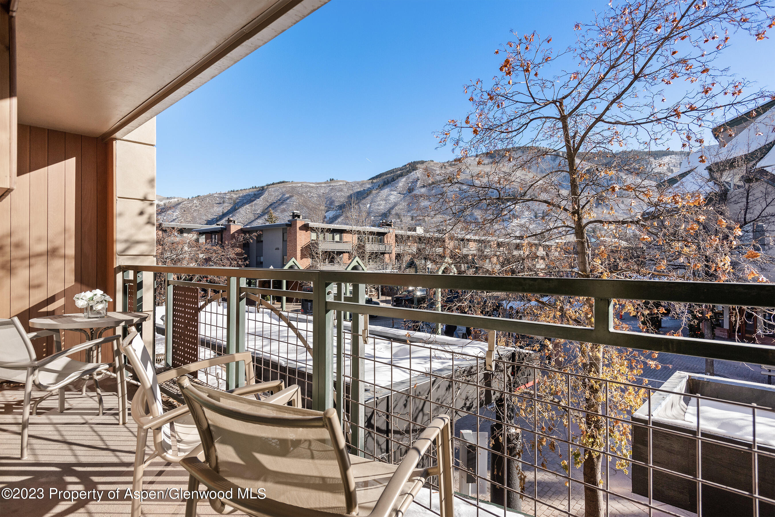 555 E Durant Avenue Aspen CO 81611