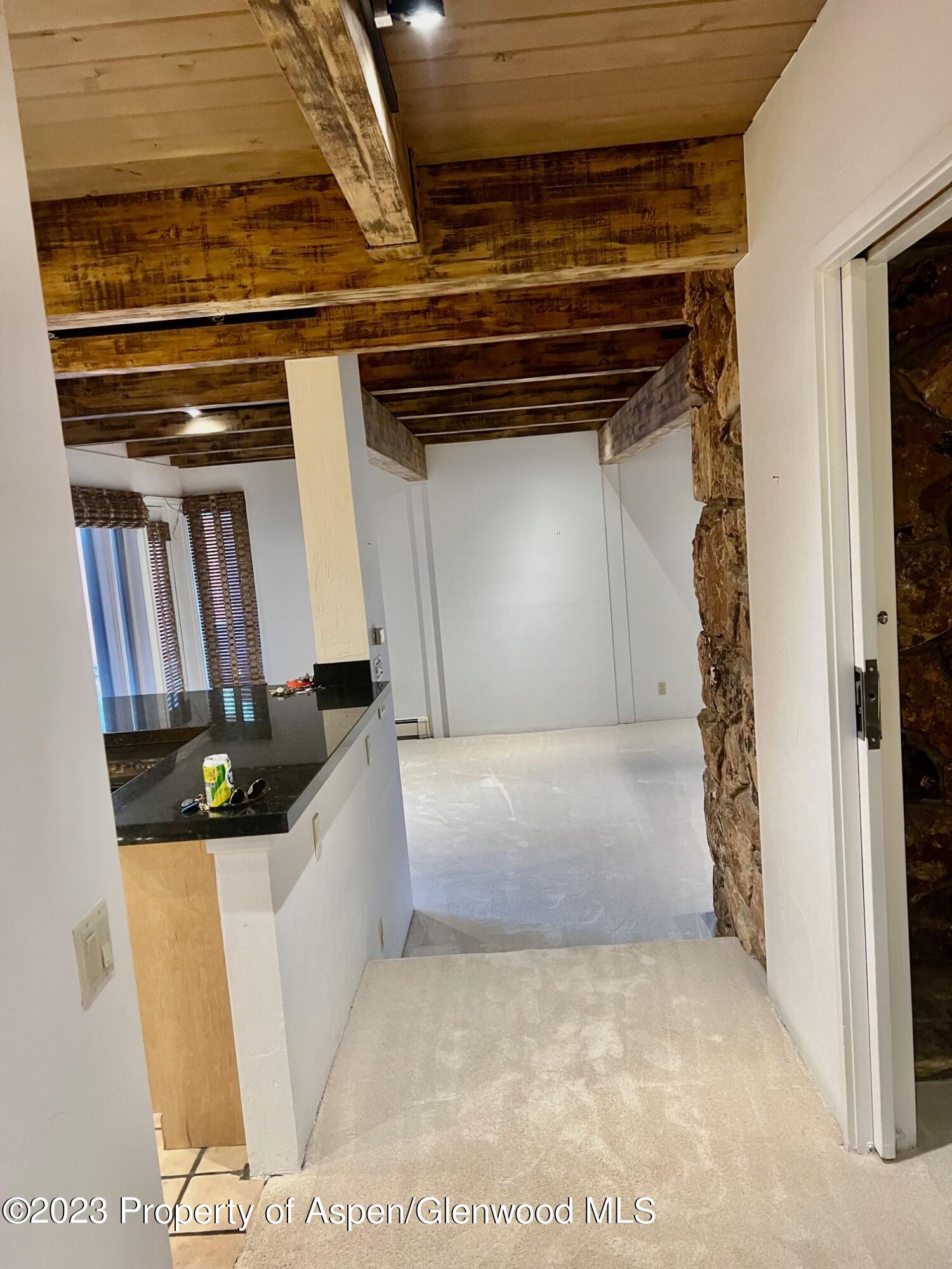 651 S Monarch Street Aspen CO 81611