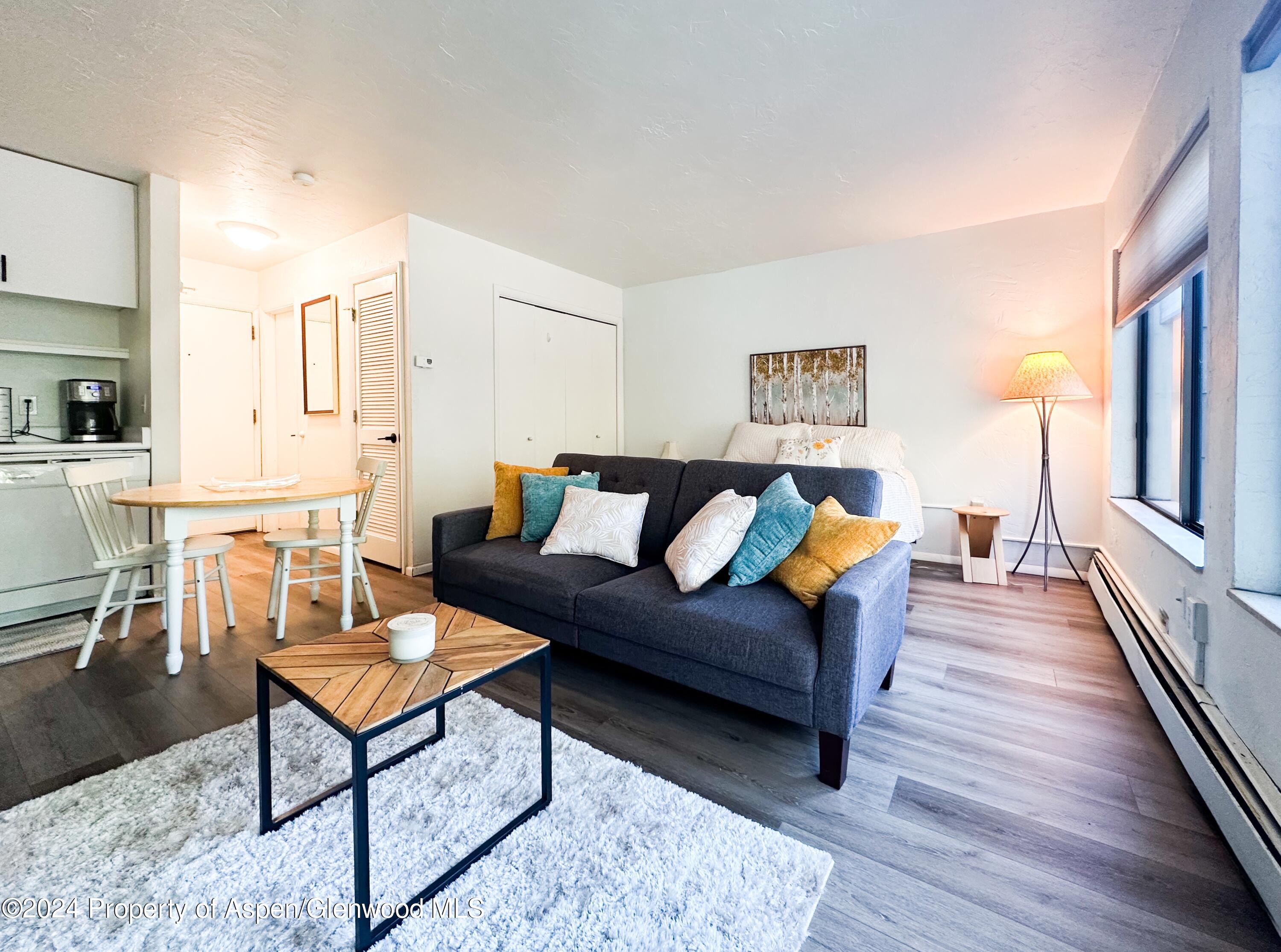725 E Main Street Aspen CO 81611