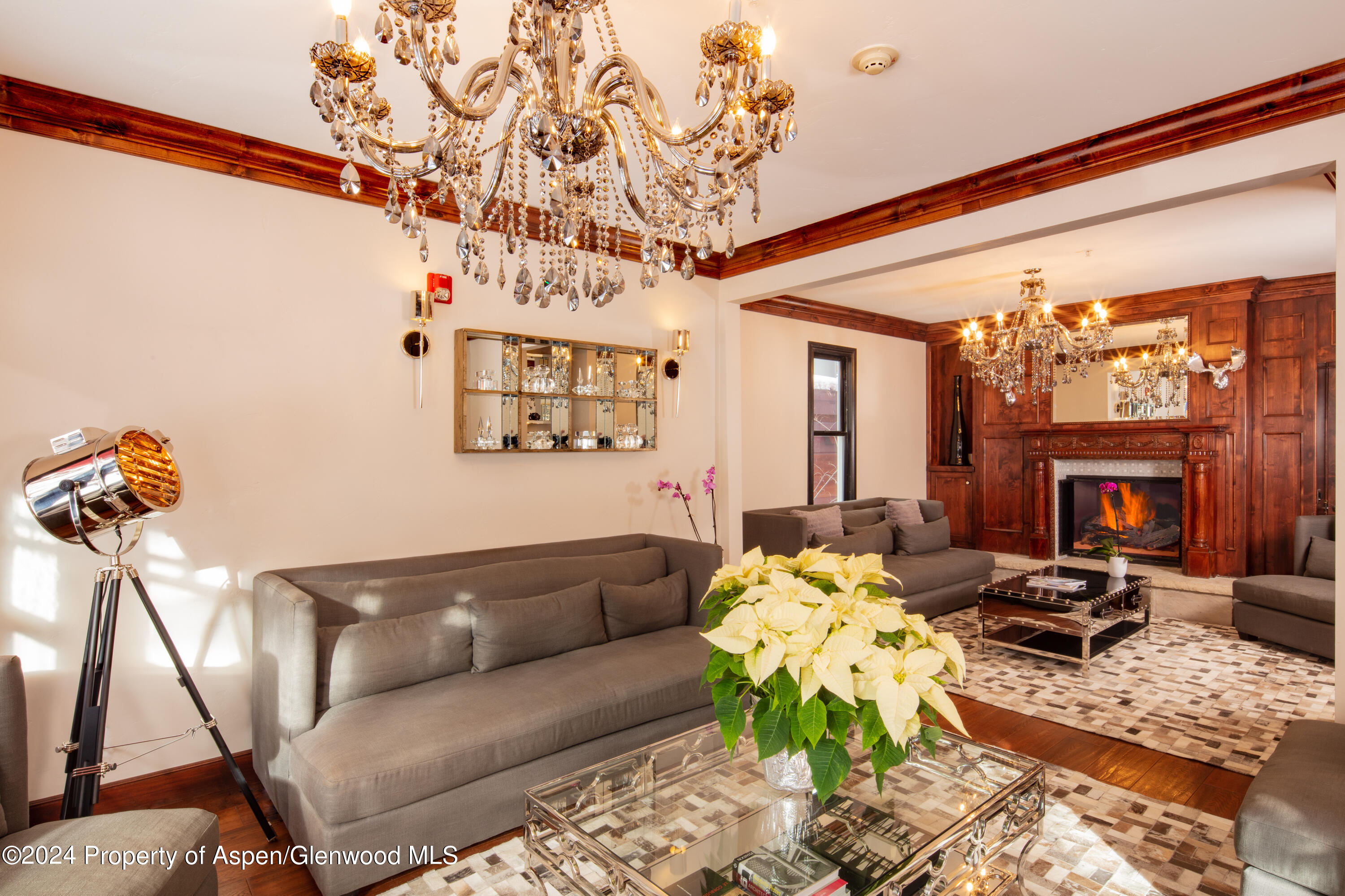 118 E Cooper Avenue Aspen CO 81611