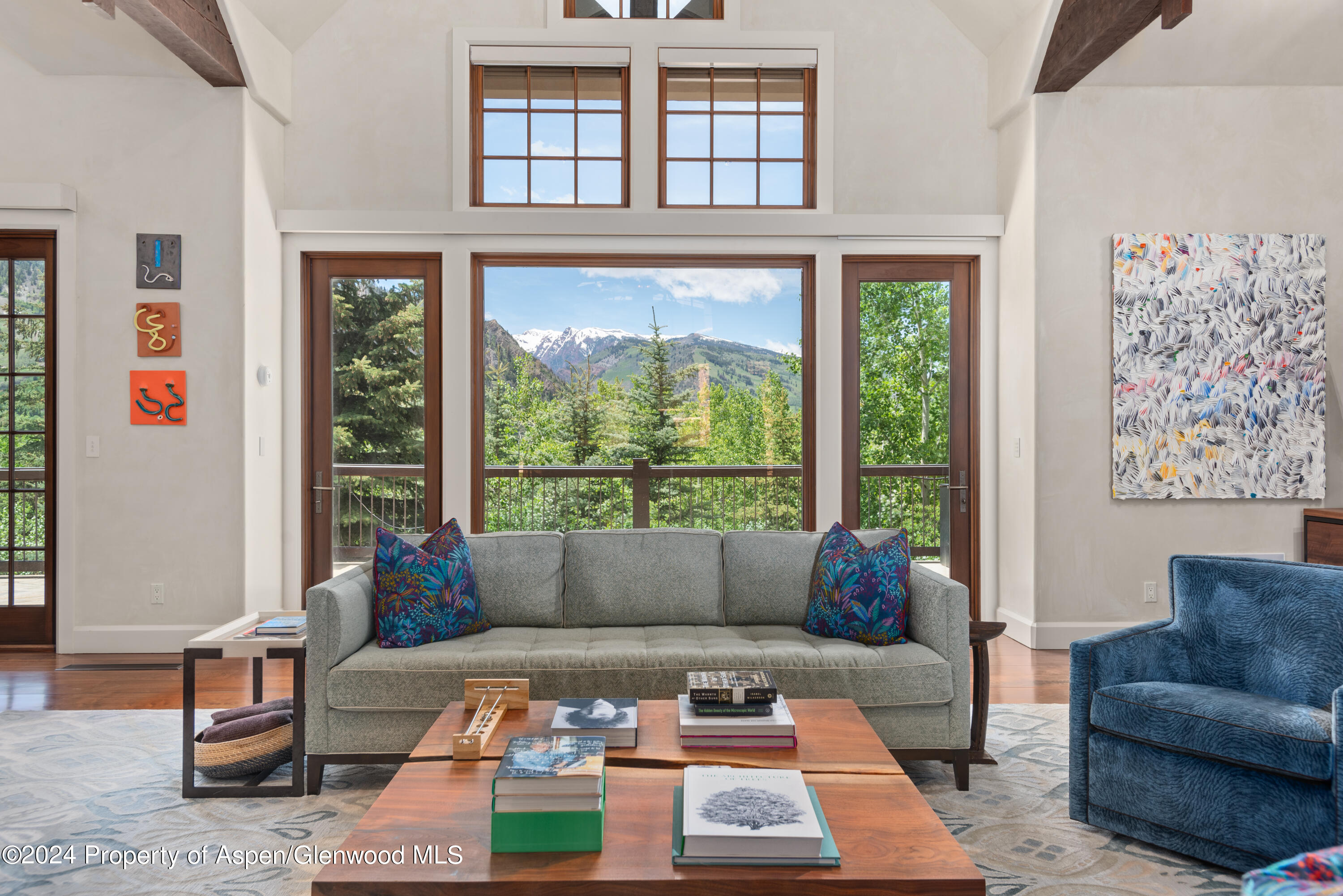 705 Spruce Street Aspen CO 81611