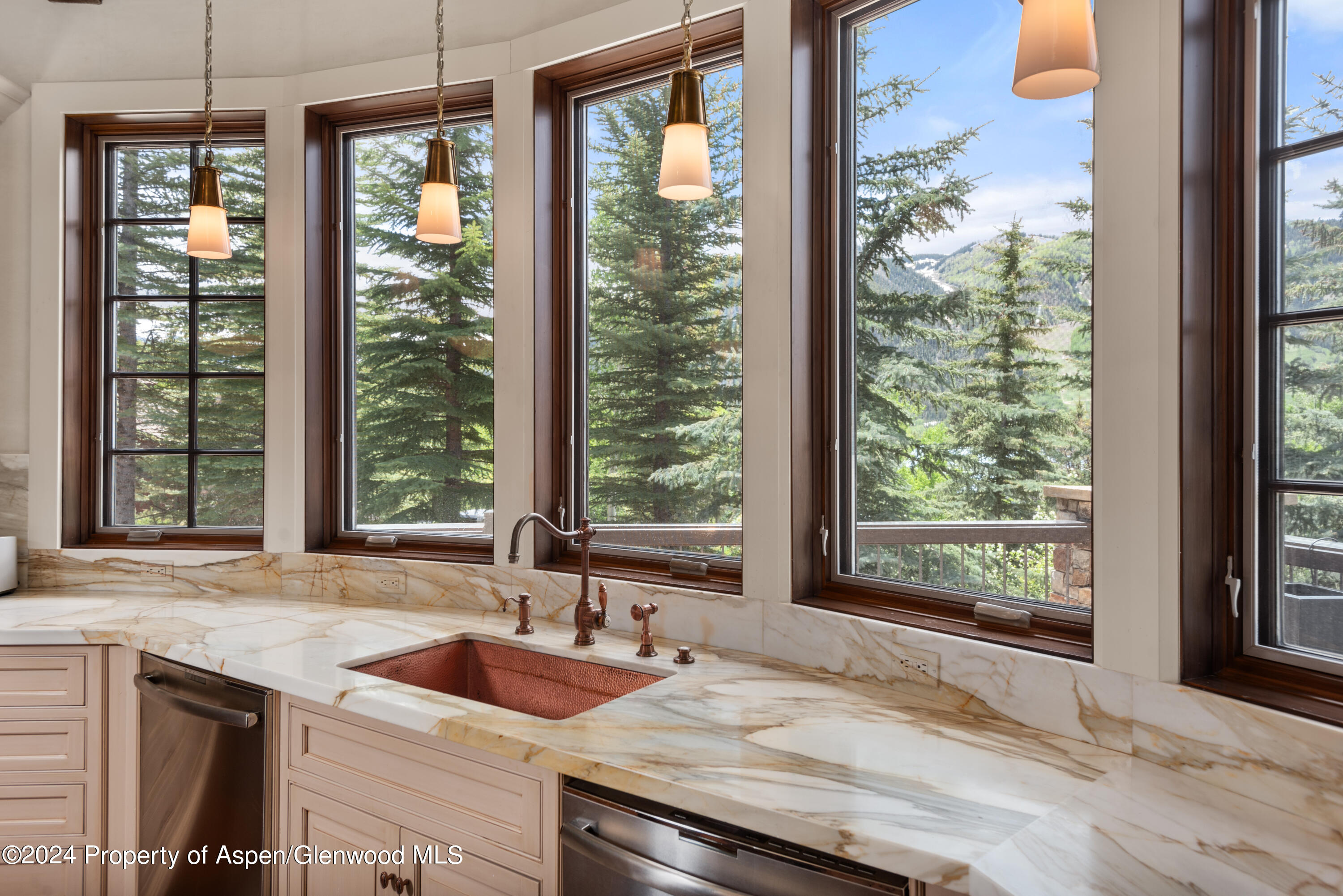 705 Spruce Street Aspen CO 81611