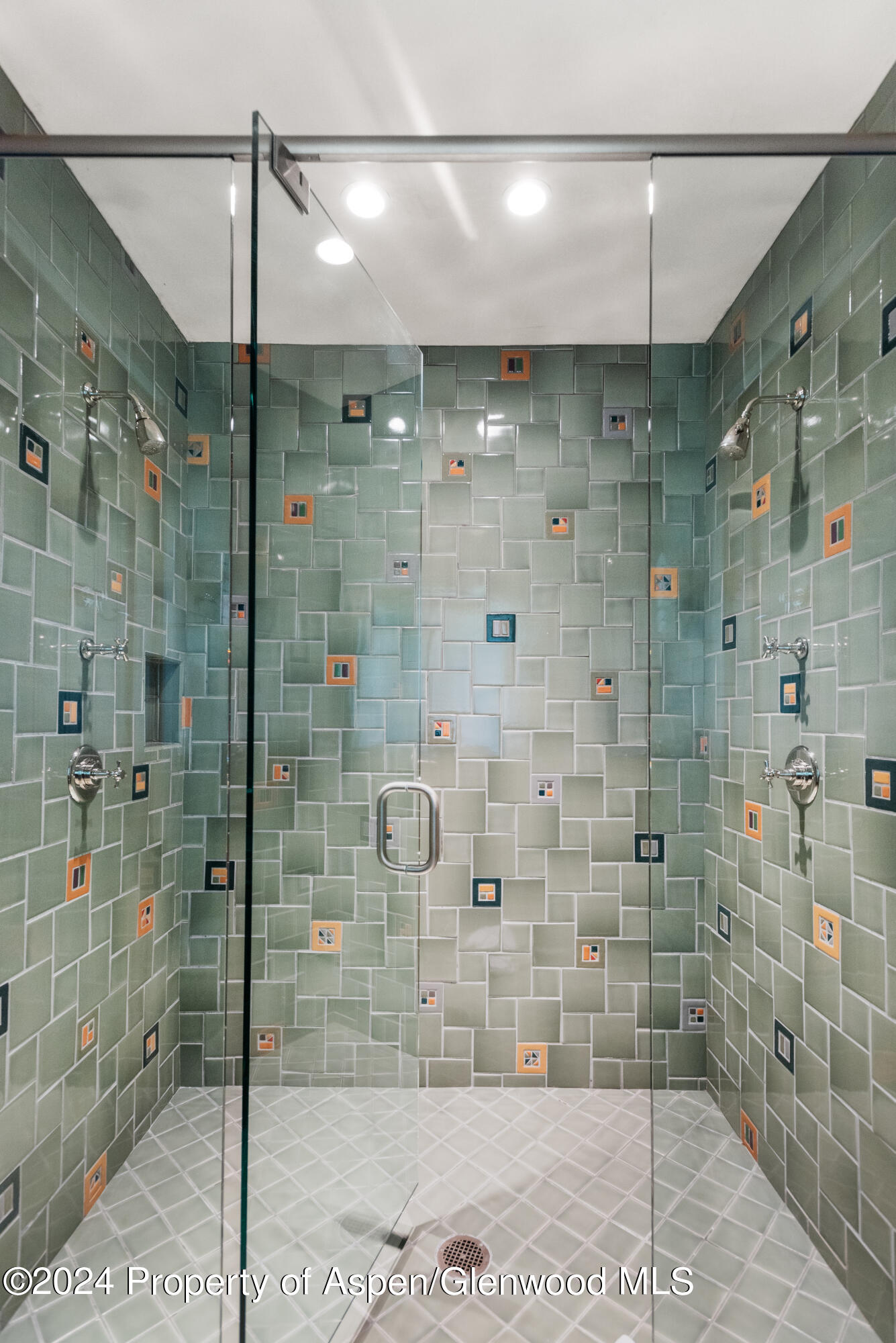 705 Spruce Street Aspen CO 81611