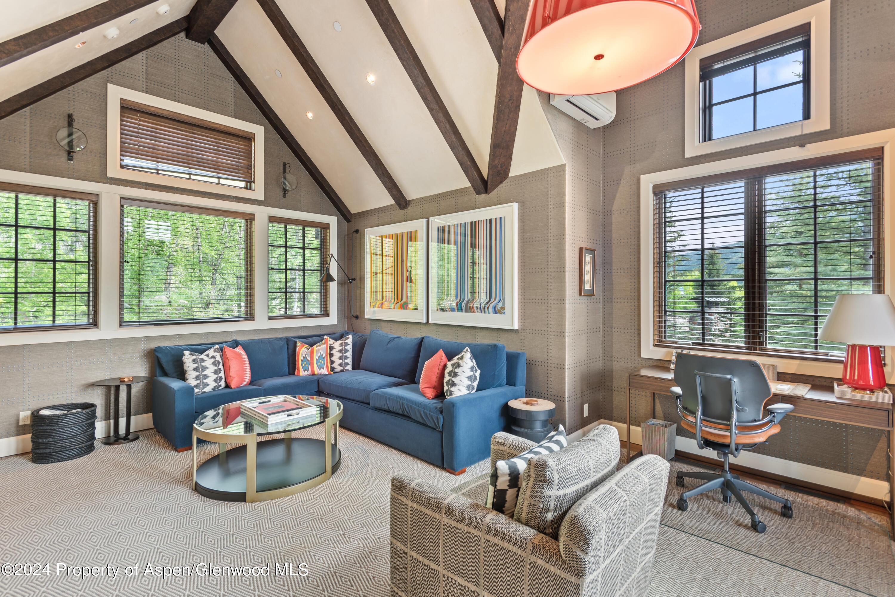 705 Spruce Street Aspen CO 81611