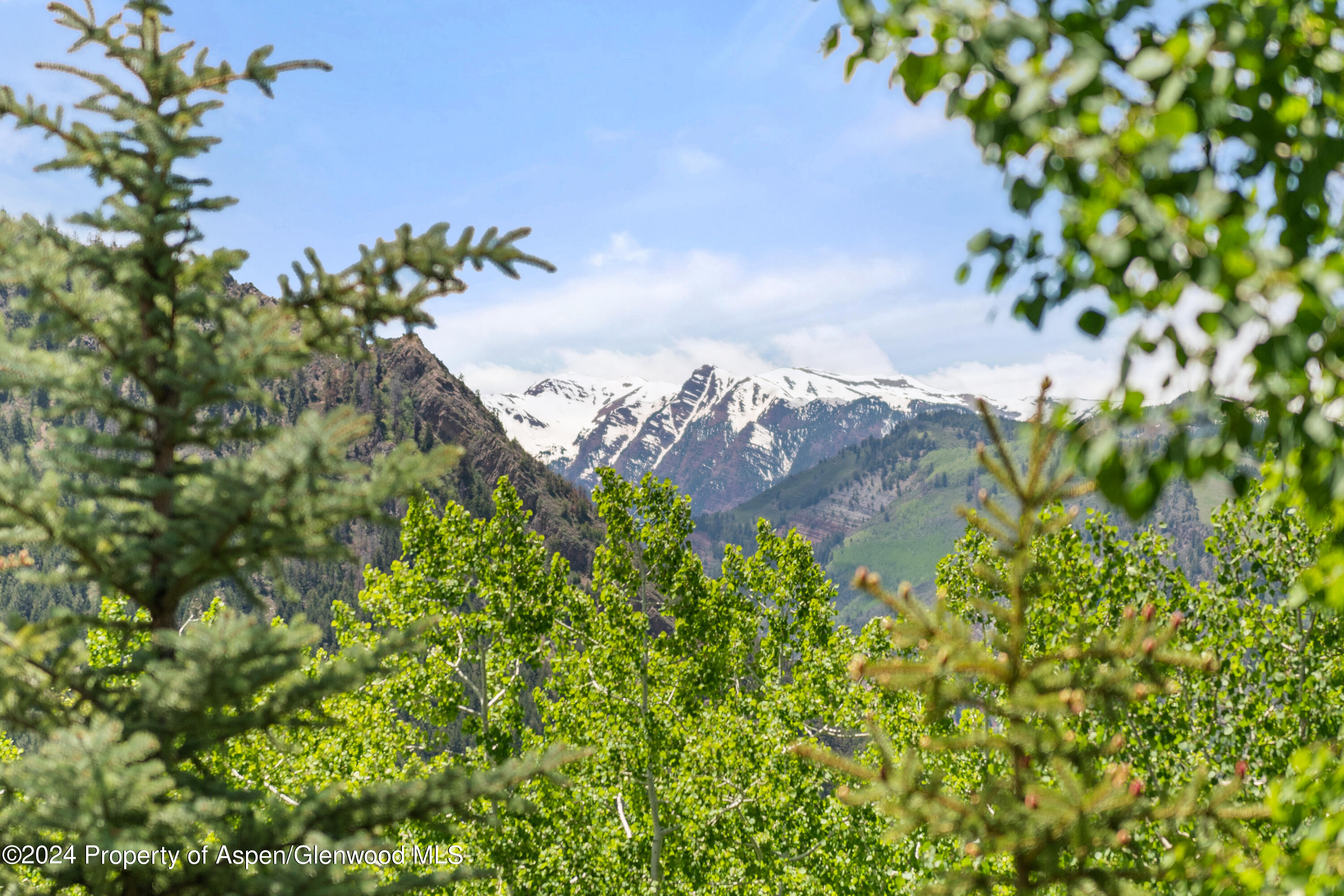 705 Spruce Street Aspen CO 81611