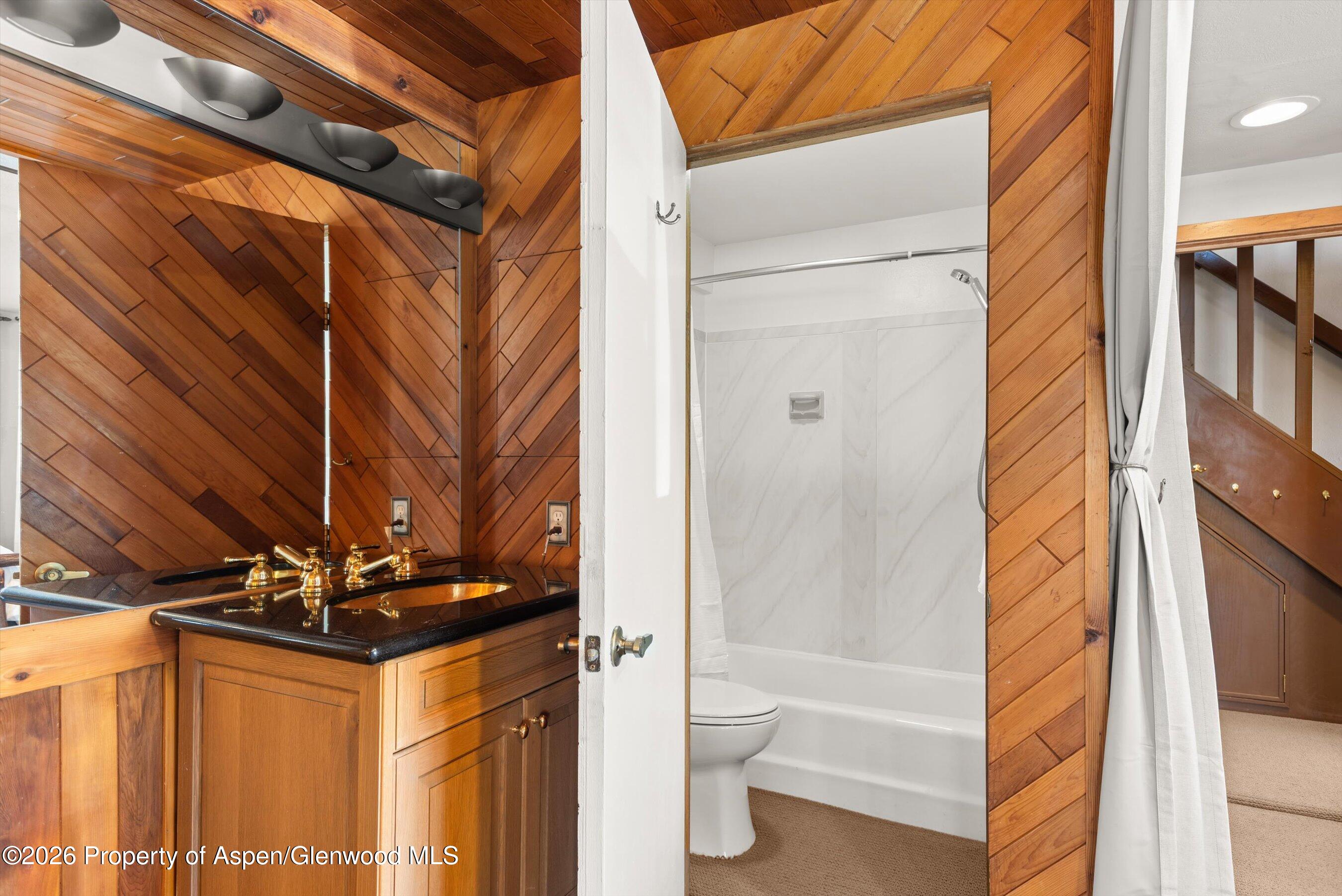 125 E Hyman Avenue Aspen CO 81611