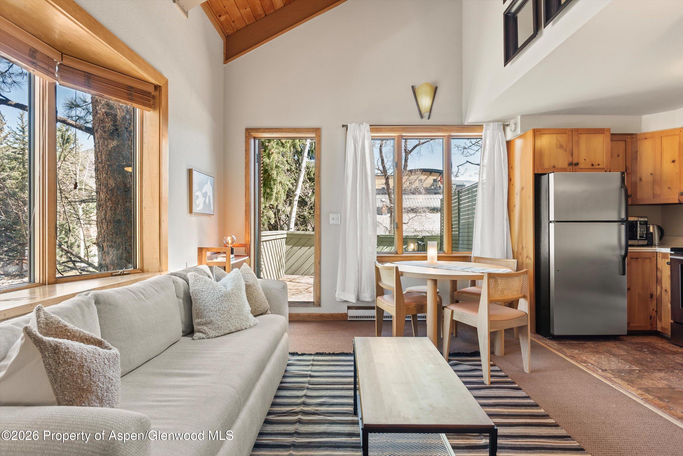 125 E Hyman Avenue Aspen CO 81611