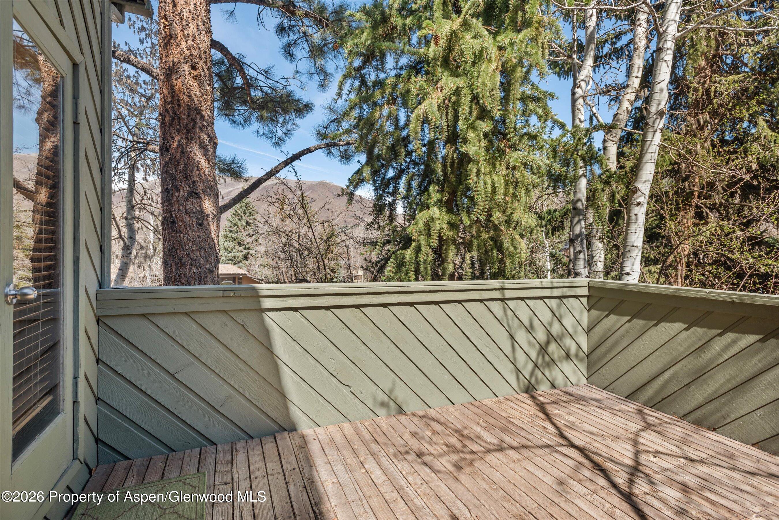 125 E Hyman Avenue Aspen CO 81611