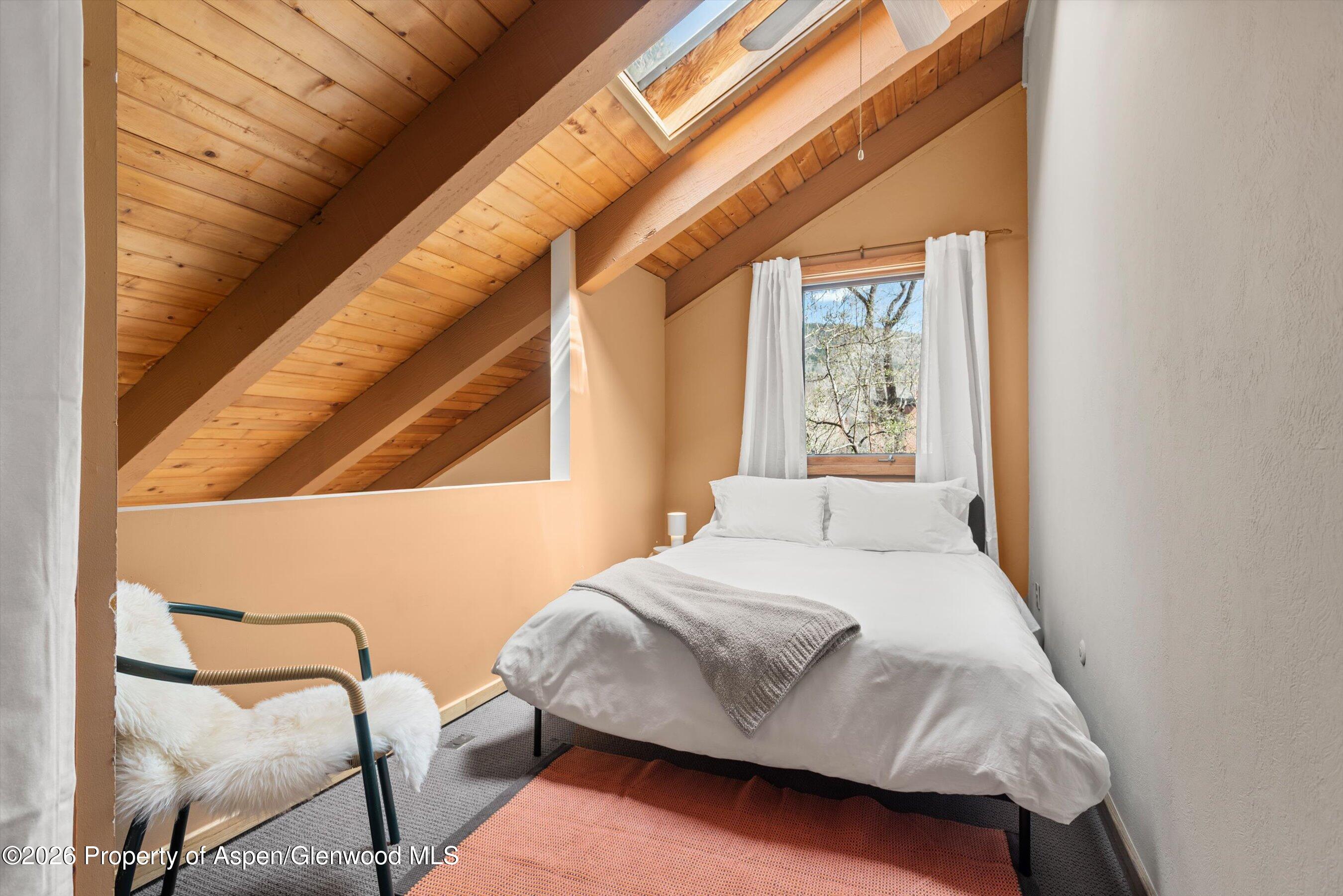 125 E Hyman Avenue Aspen CO 81611