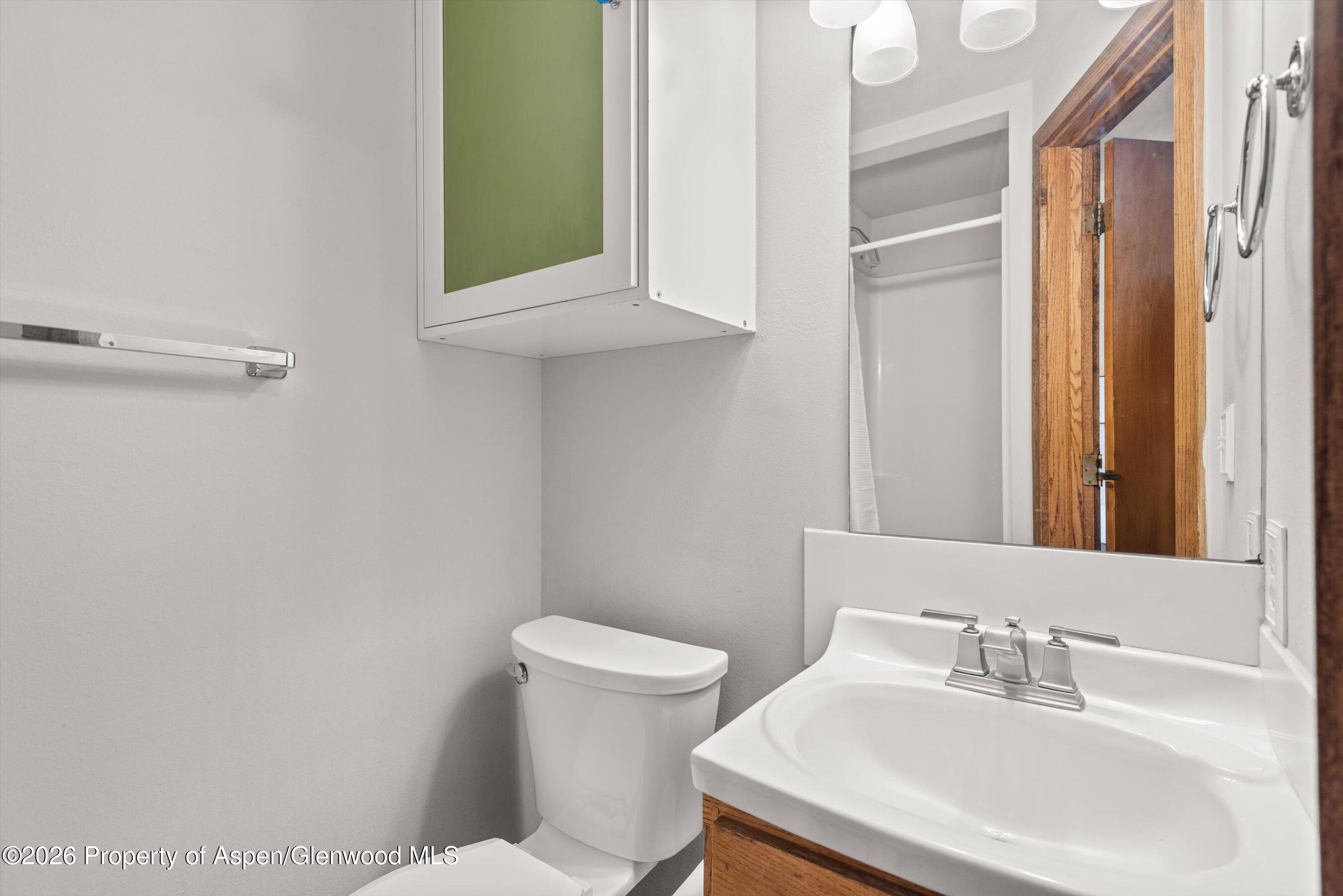 125 E Hyman Avenue Aspen CO 81611