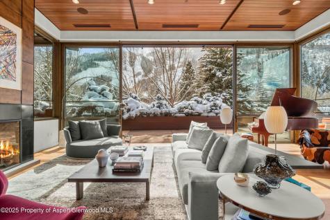 233 E Cooper Avenue Aspen CO 81611