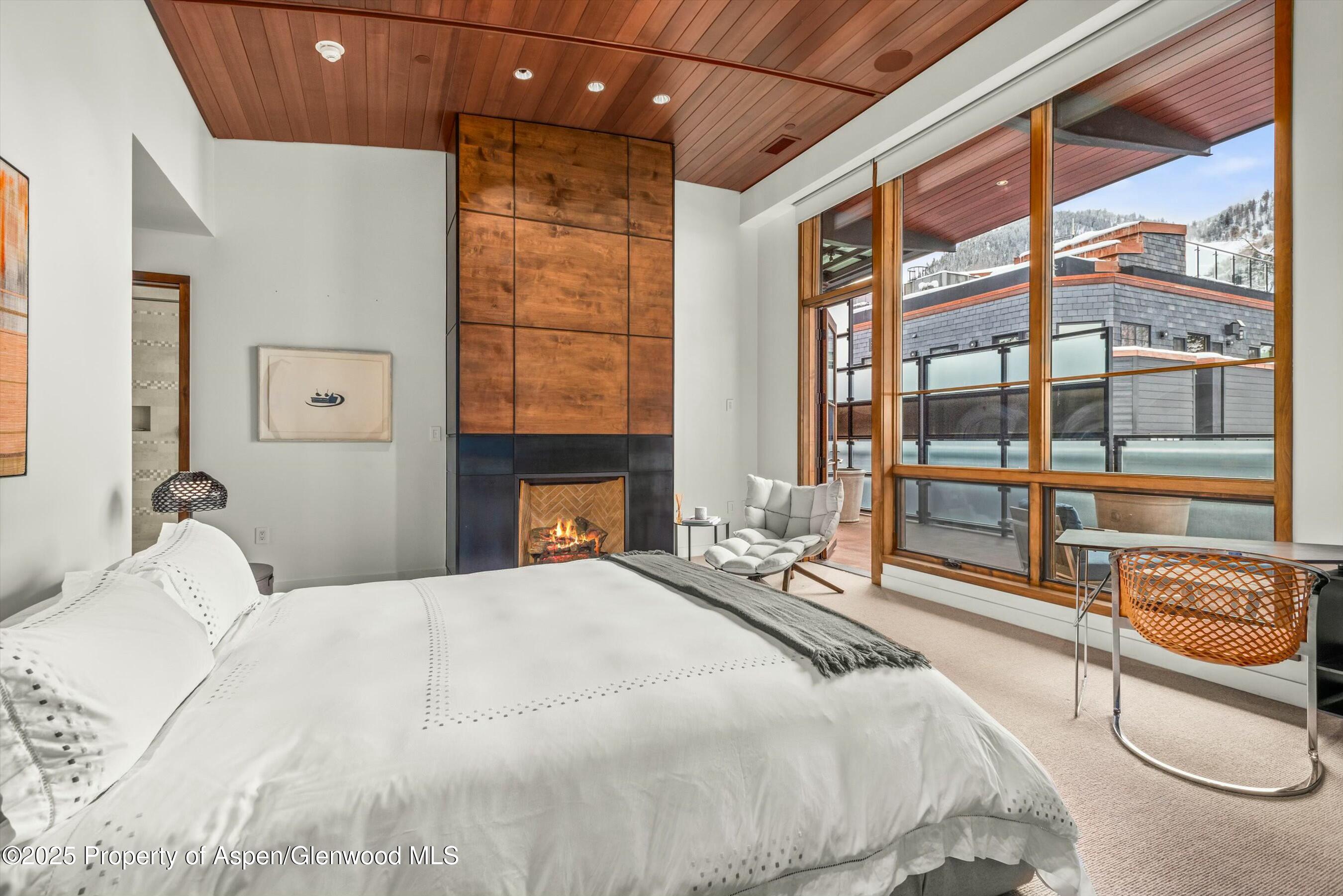 233 E Cooper Avenue Aspen CO 81611