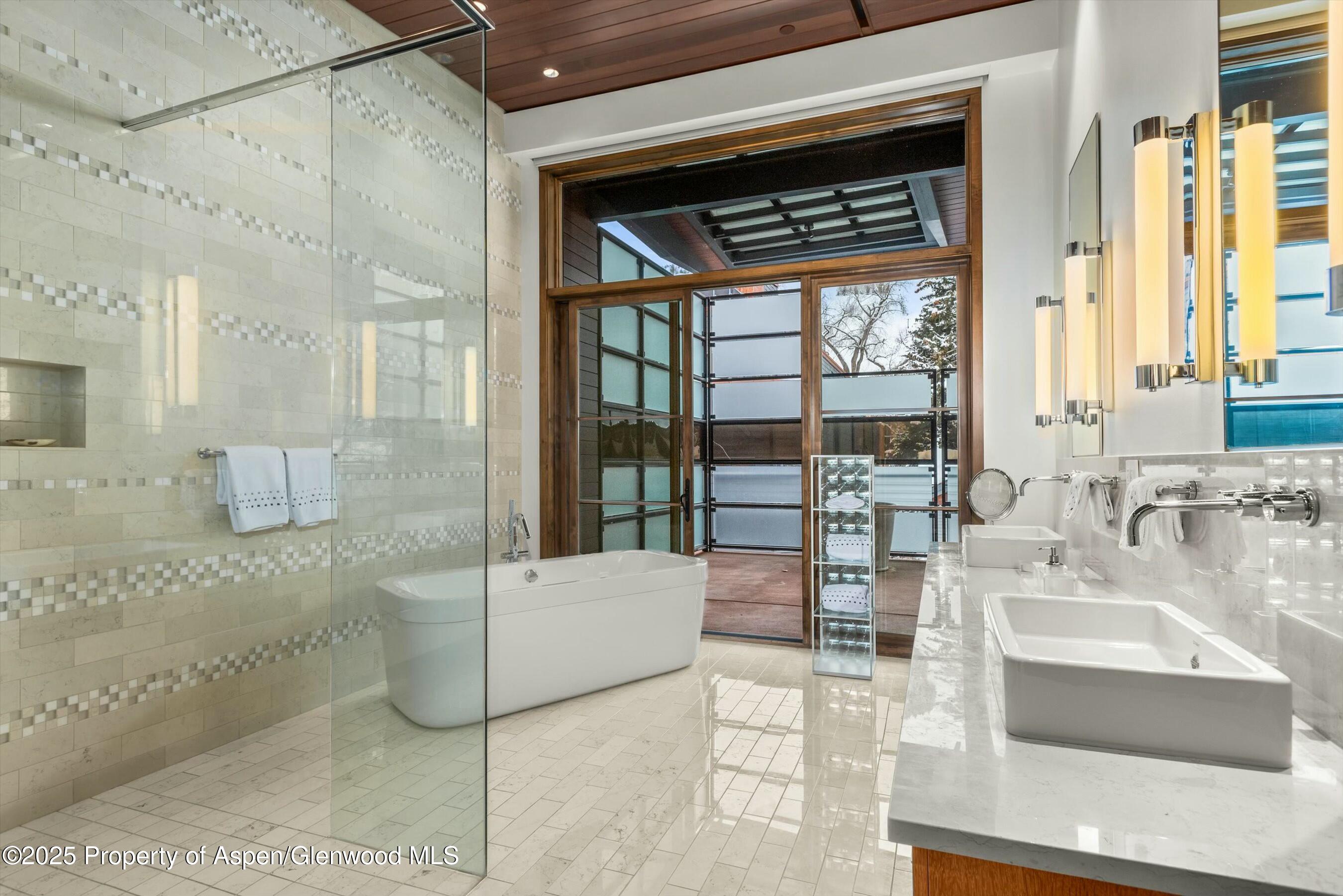 233 E Cooper Avenue Aspen CO 81611