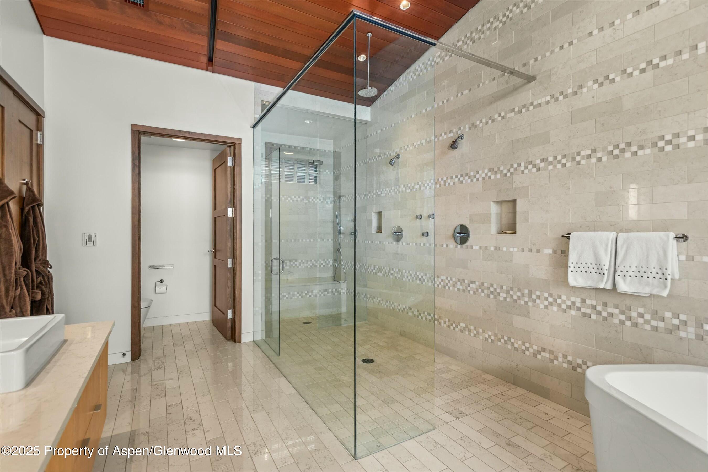 233 E Cooper Avenue Aspen CO 81611