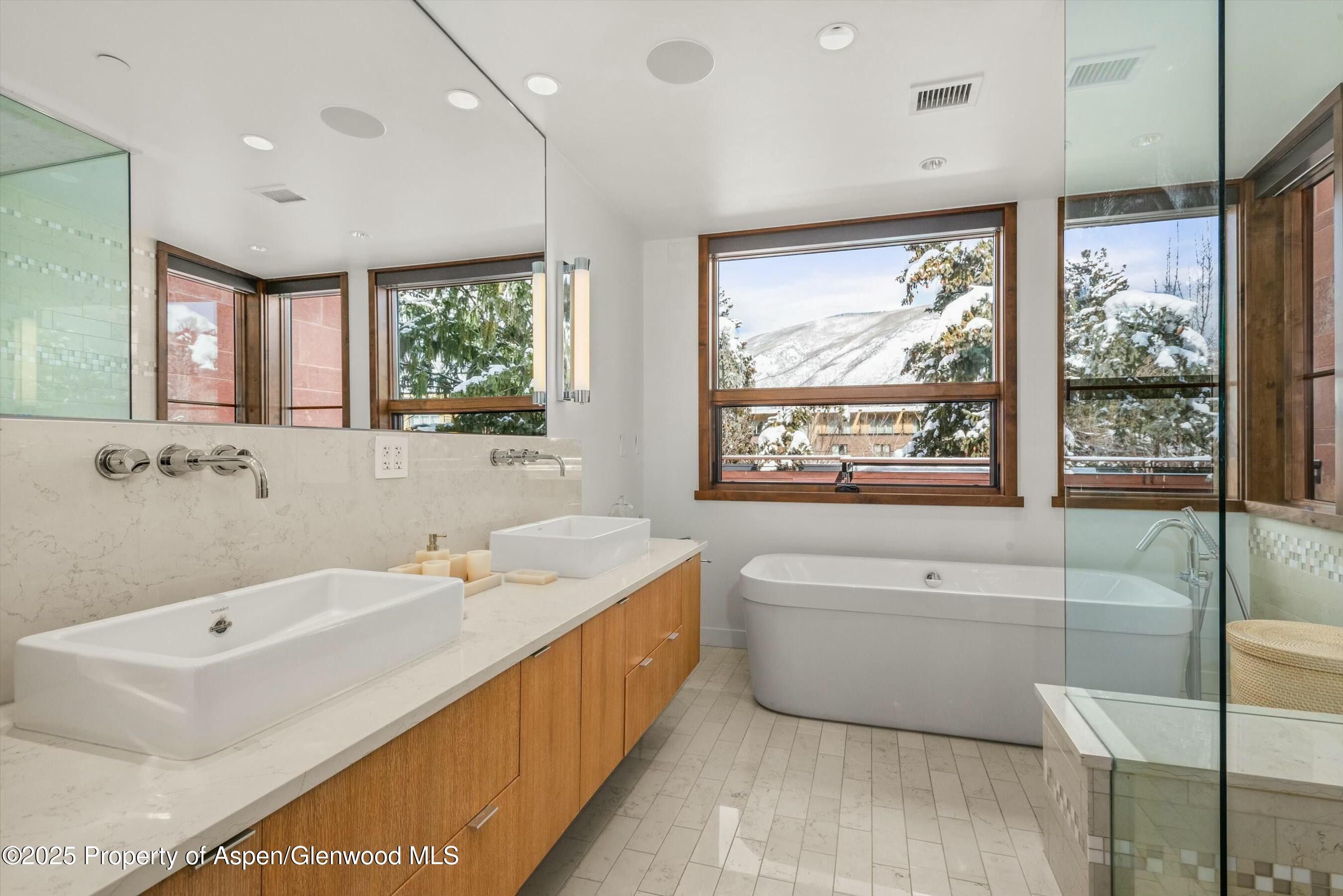 233 E Cooper Avenue Aspen CO 81611