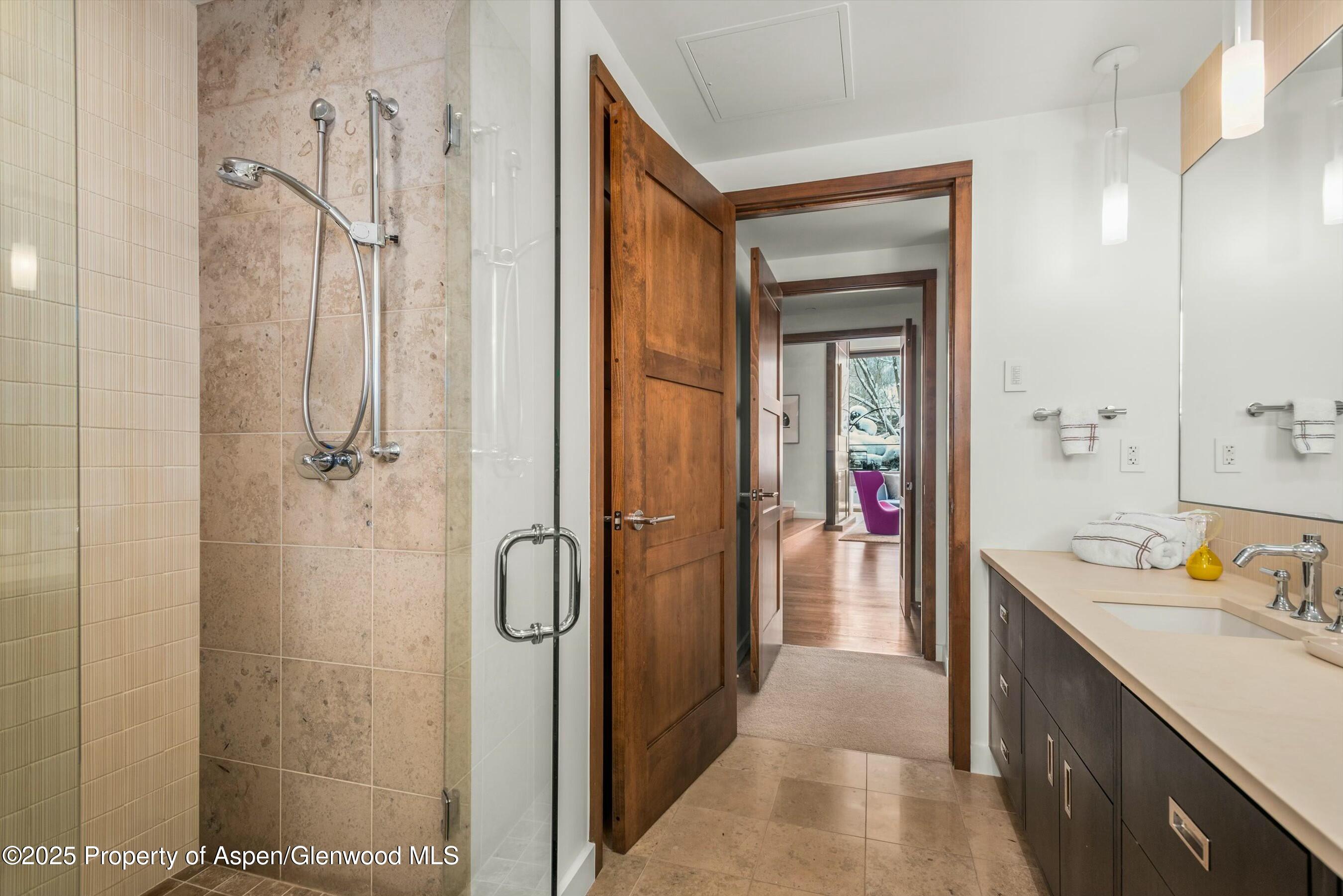 233 E Cooper Avenue Aspen CO 81611