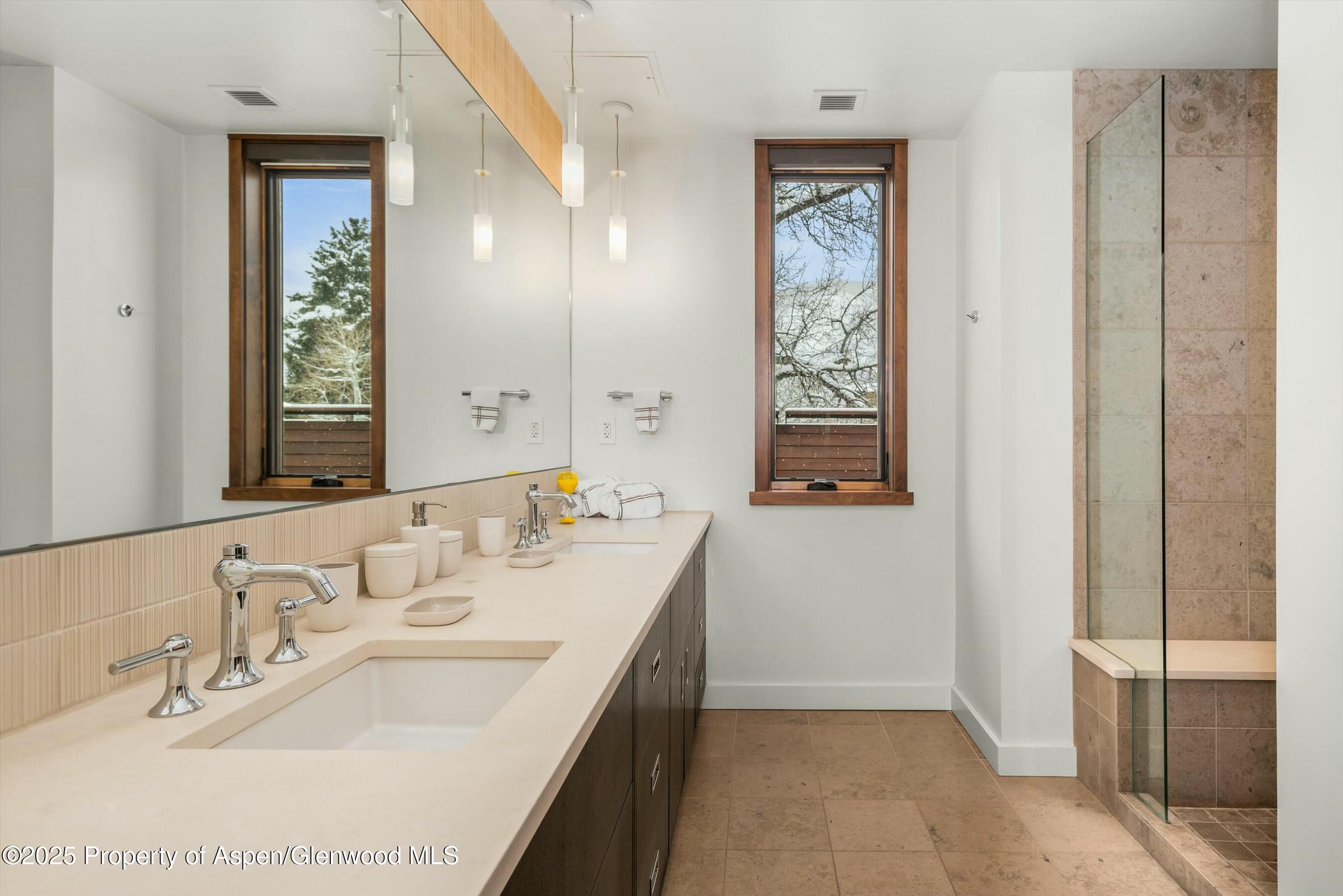 233 E Cooper Avenue Aspen CO 81611