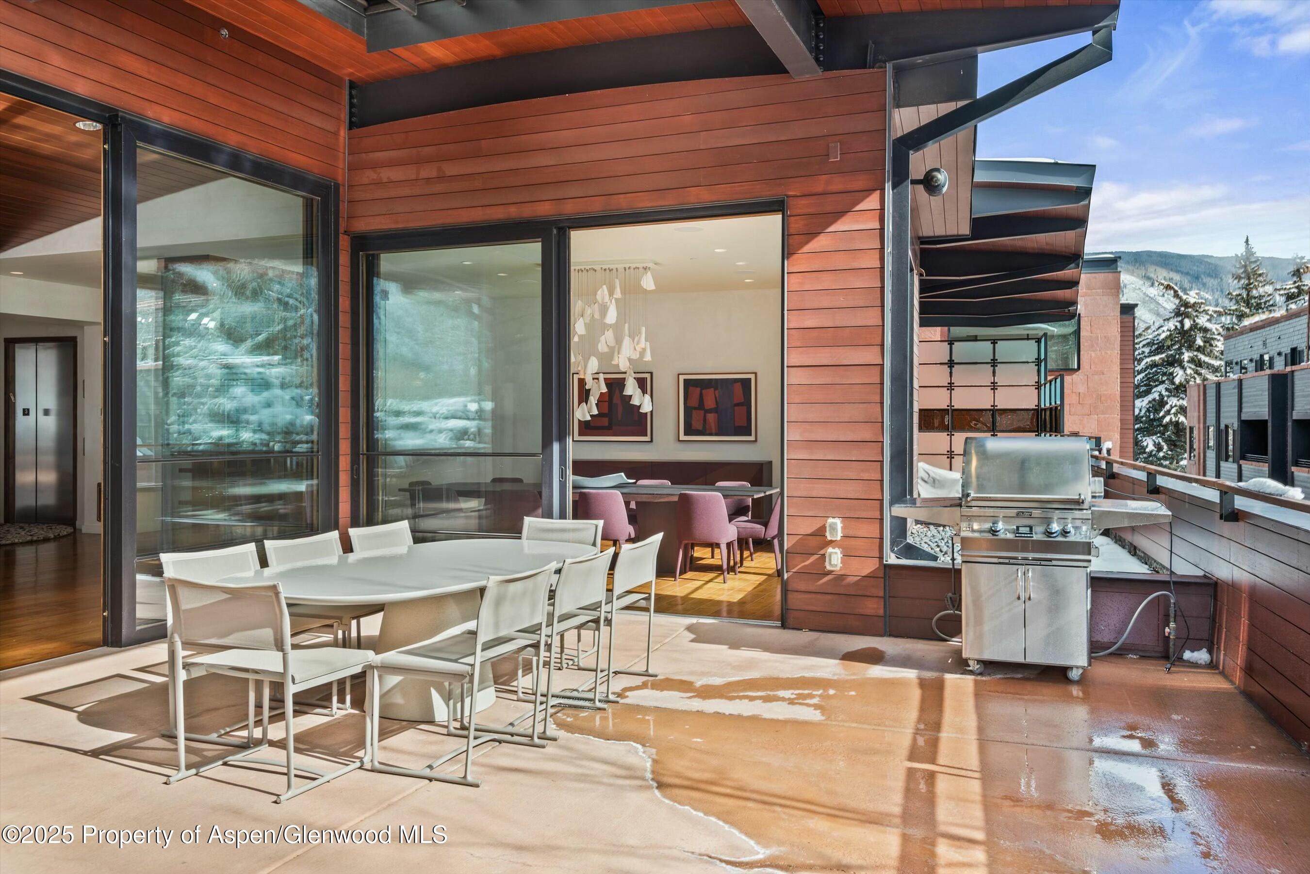 233 E Cooper Avenue Aspen CO 81611