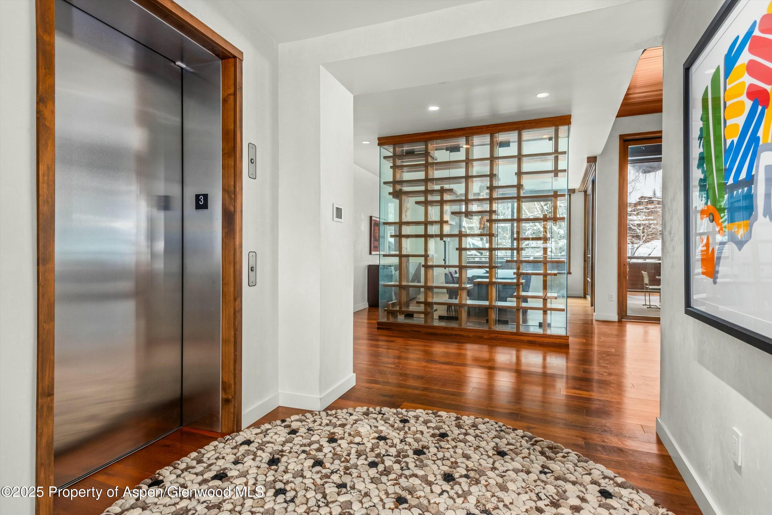 233 E Cooper Avenue Aspen CO 81611