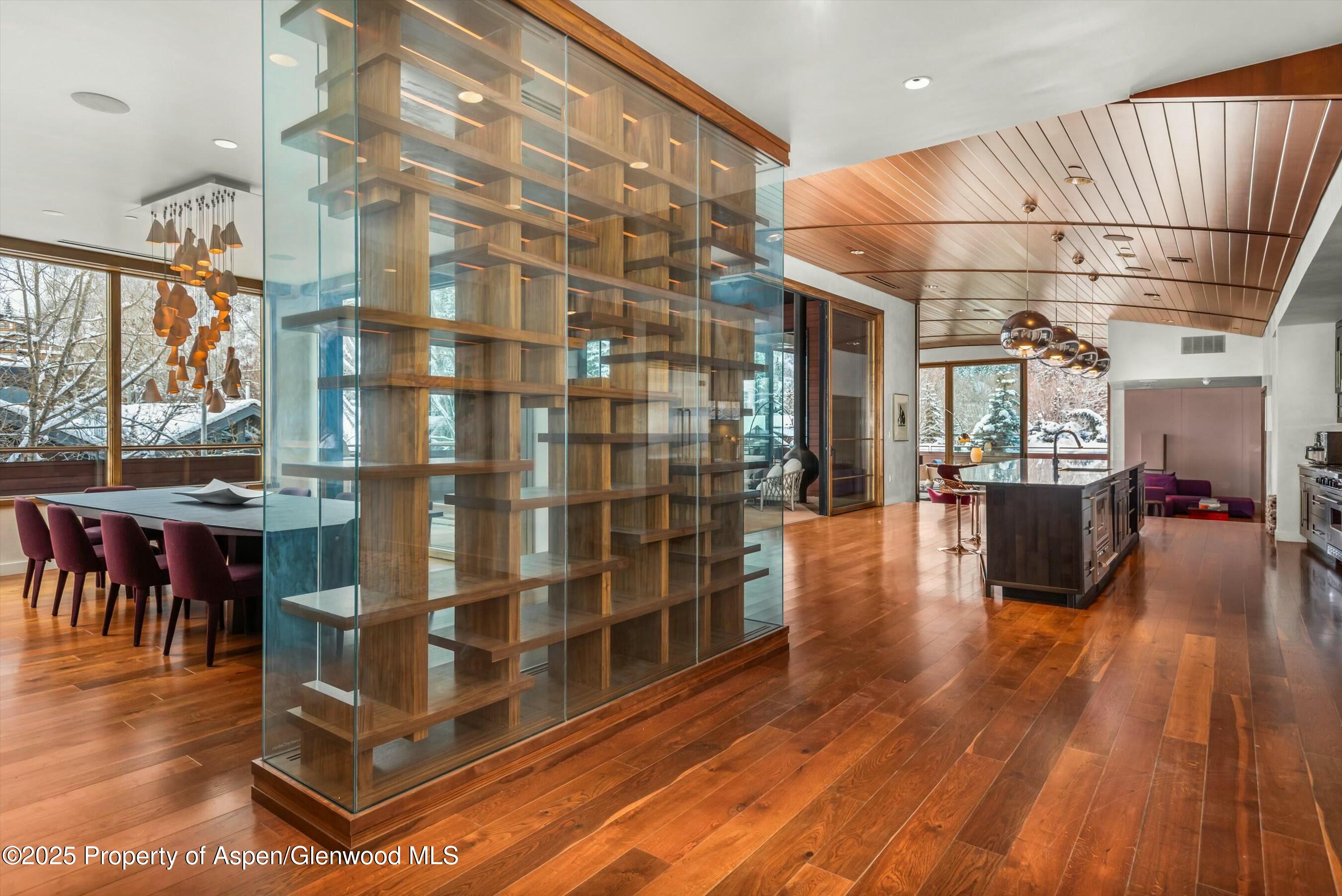 233 E Cooper Avenue Aspen CO 81611