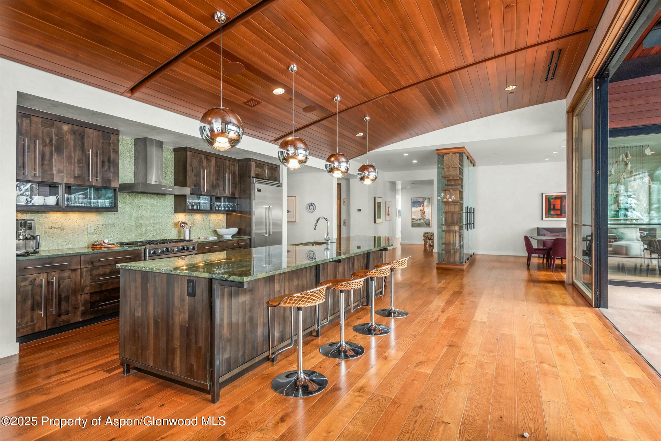 233 E Cooper Avenue Aspen CO 81611