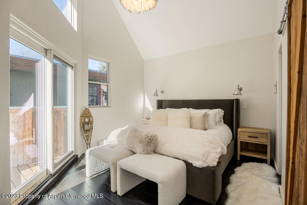 222 W Hopkins Avenue Aspen CO 81611