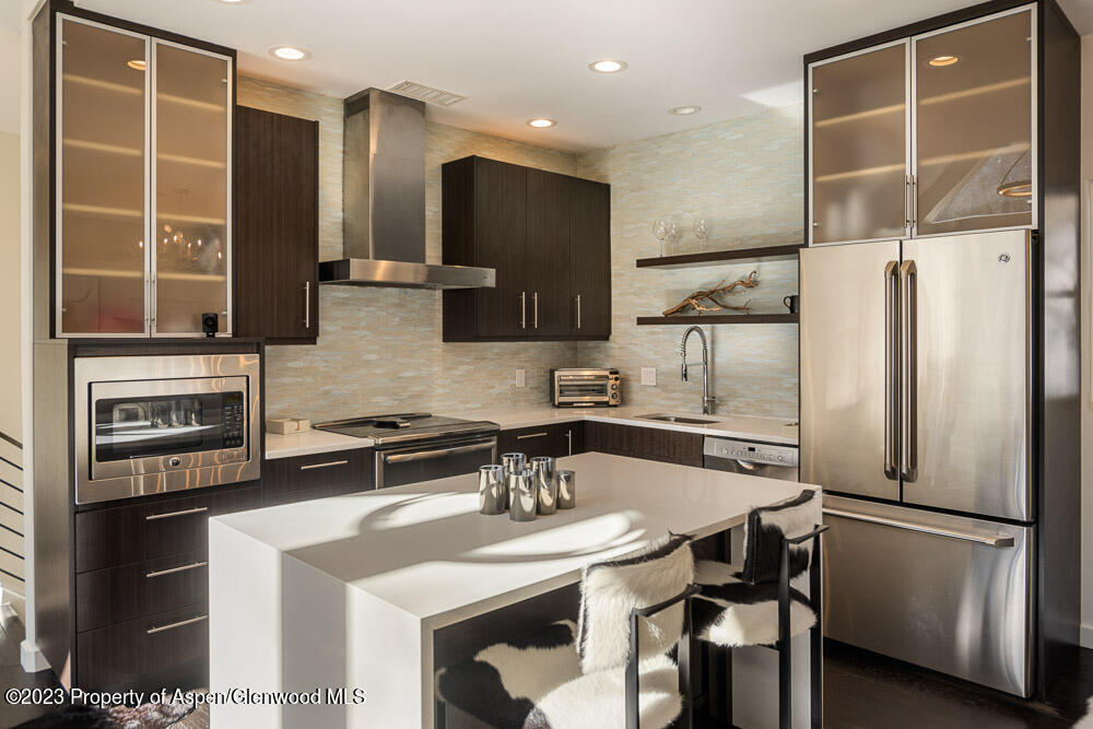 222 W Hopkins Avenue Aspen CO 81611