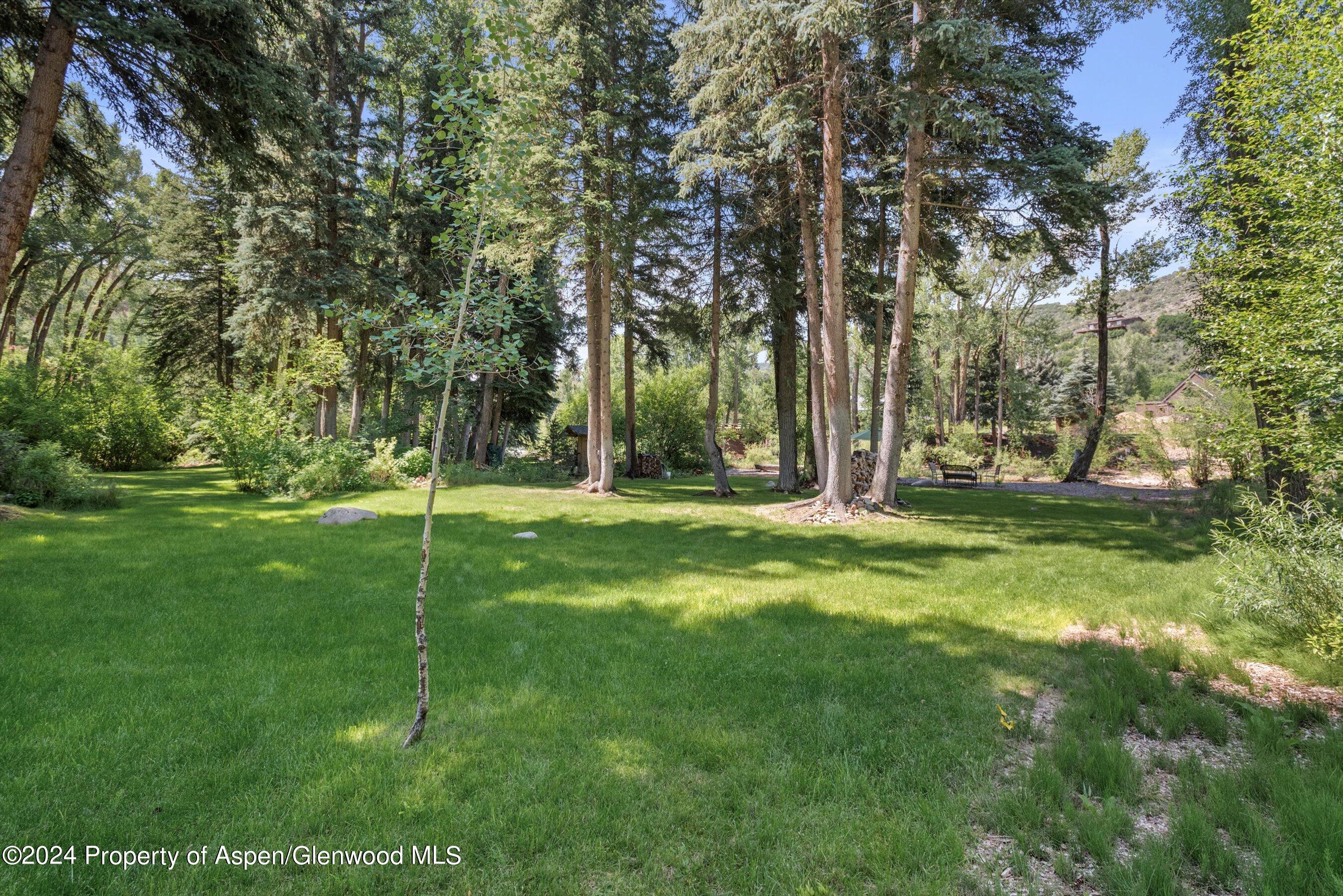 117 S Little Texas Lane Woody Creek CO 81656