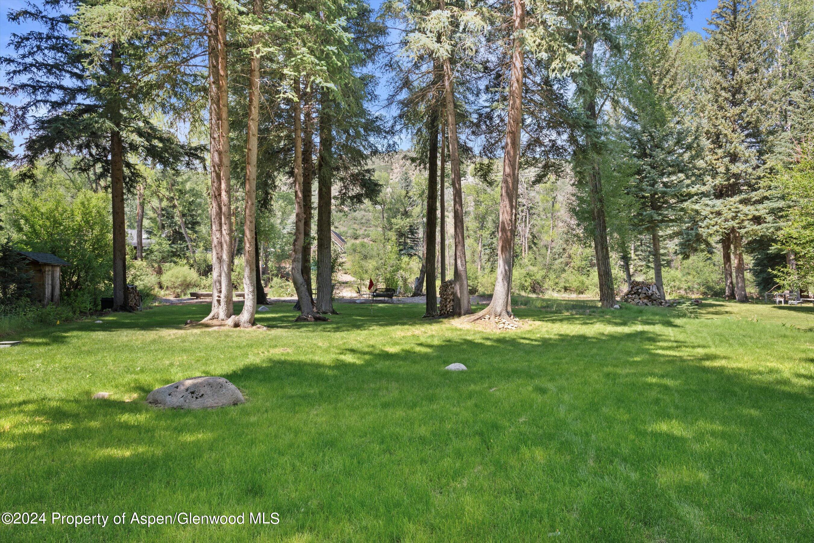 117 S Little Texas Lane Woody Creek CO 81656