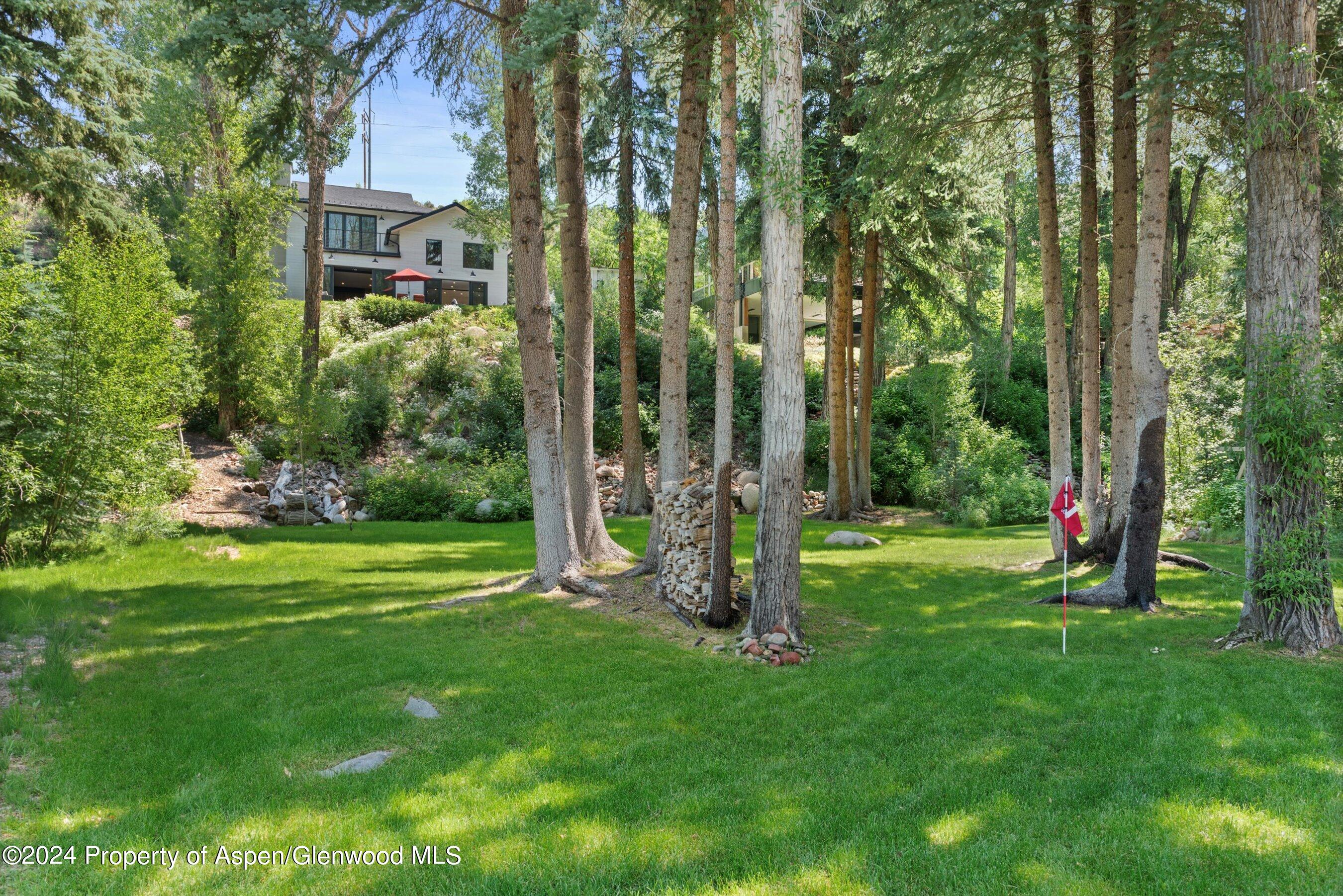 117 S Little Texas Lane Woody Creek CO 81656
