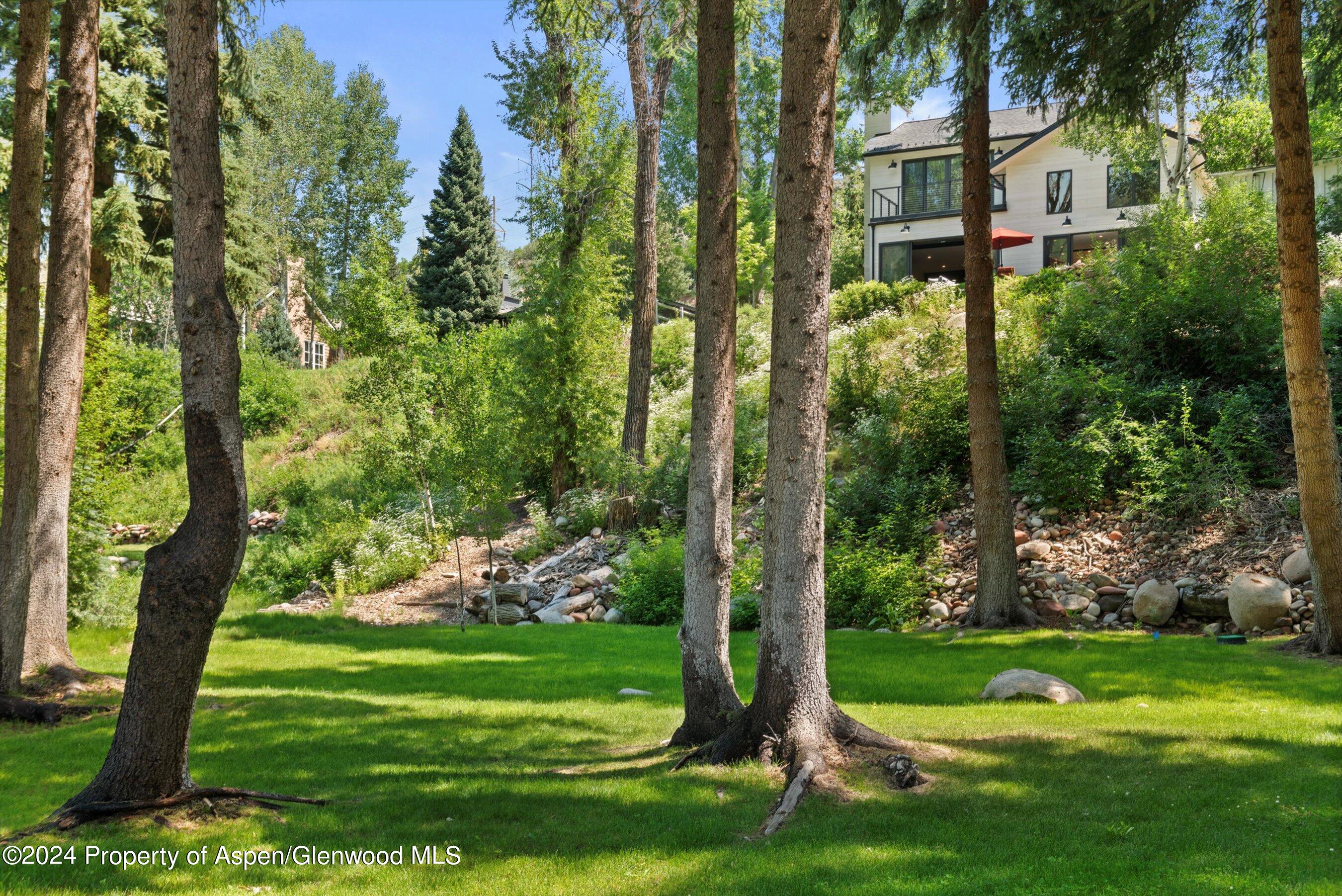 117 S Little Texas Lane Woody Creek CO 81656