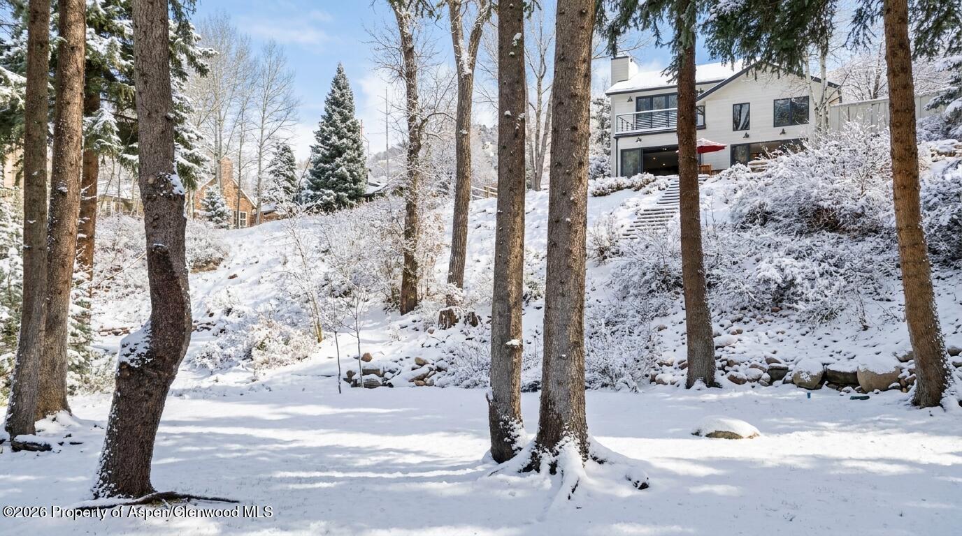 117 S Little Texas Lane Woody Creek CO 81656