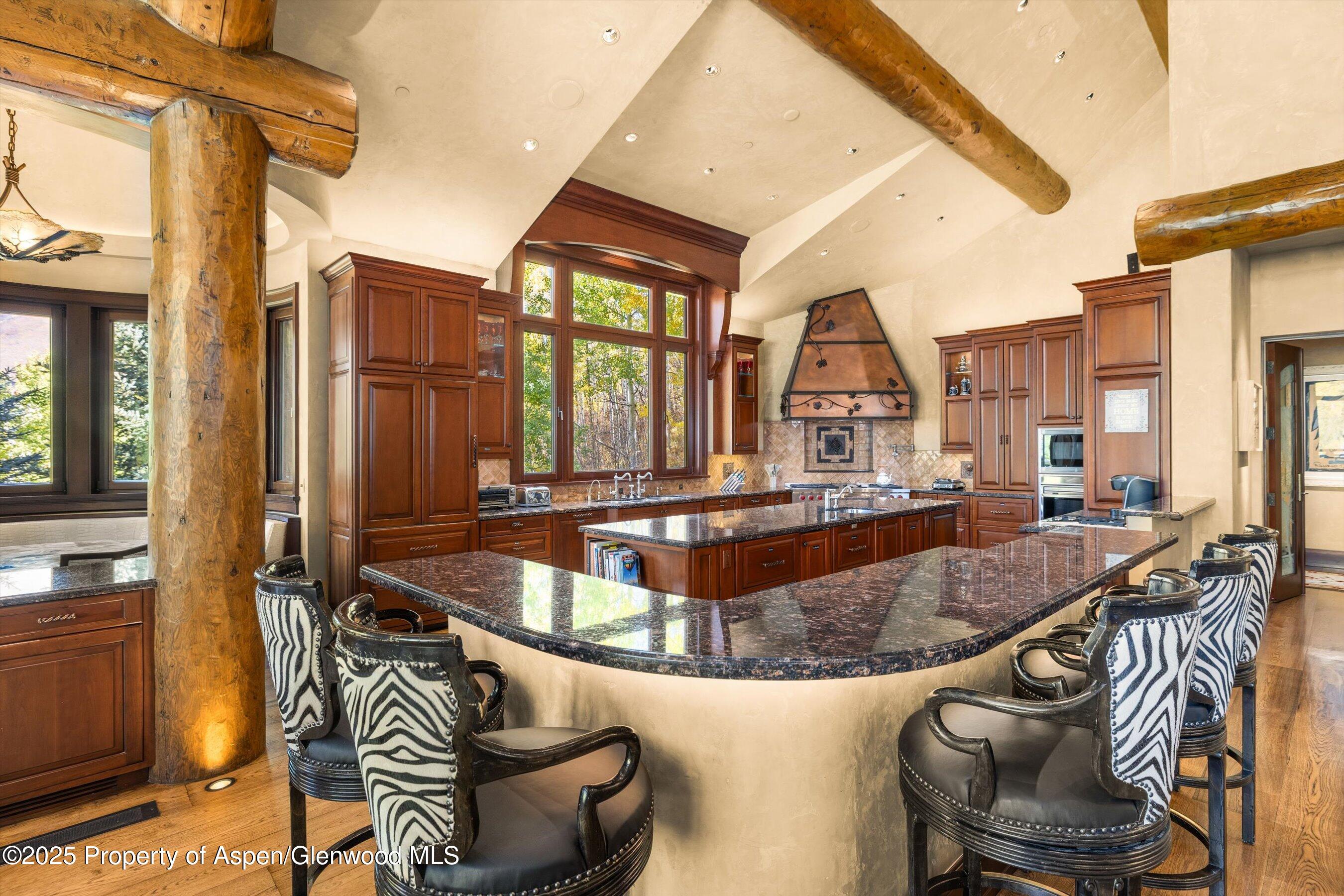 928 S Mill Street Aspen CO 81611