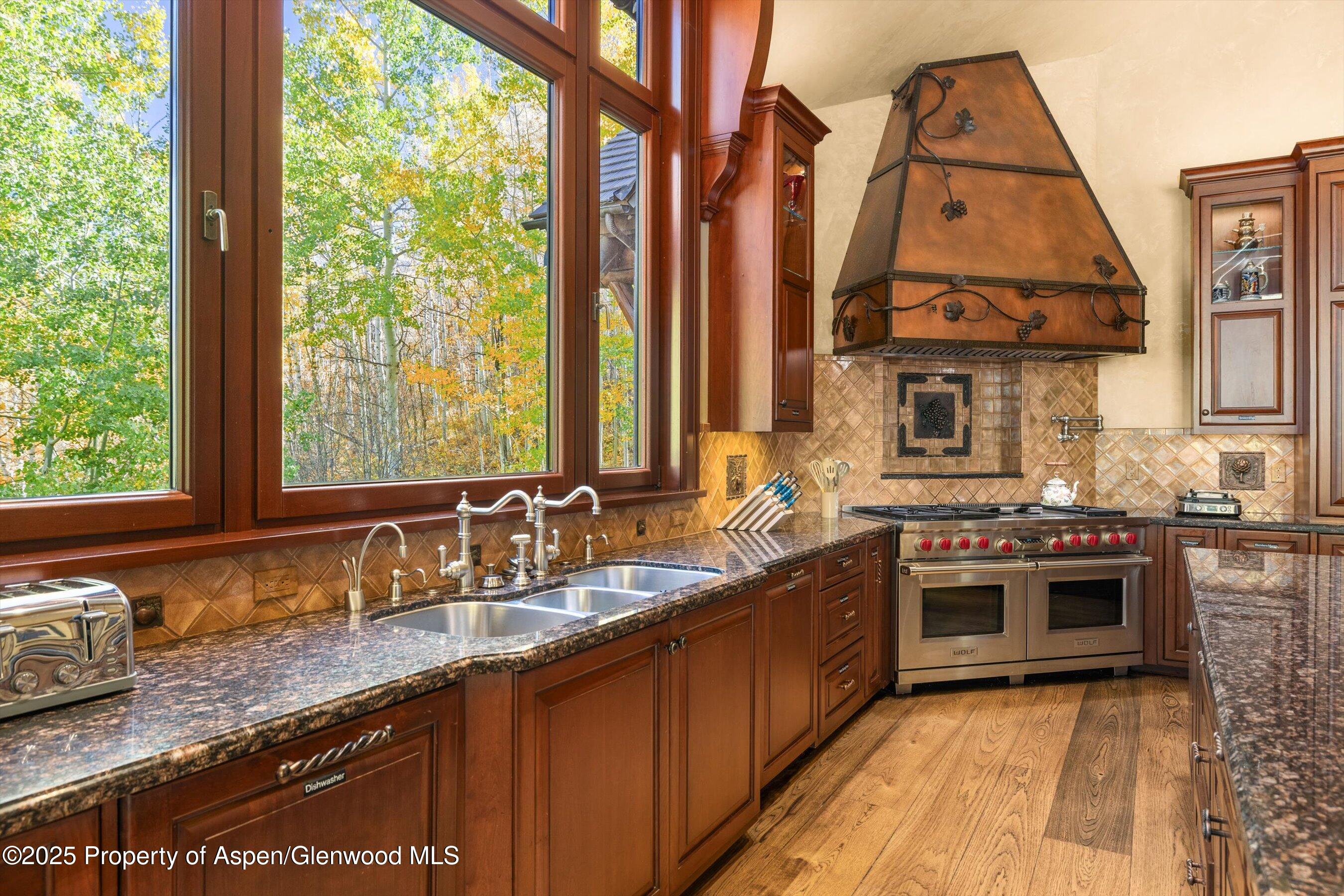 928 S Mill Street Aspen CO 81611