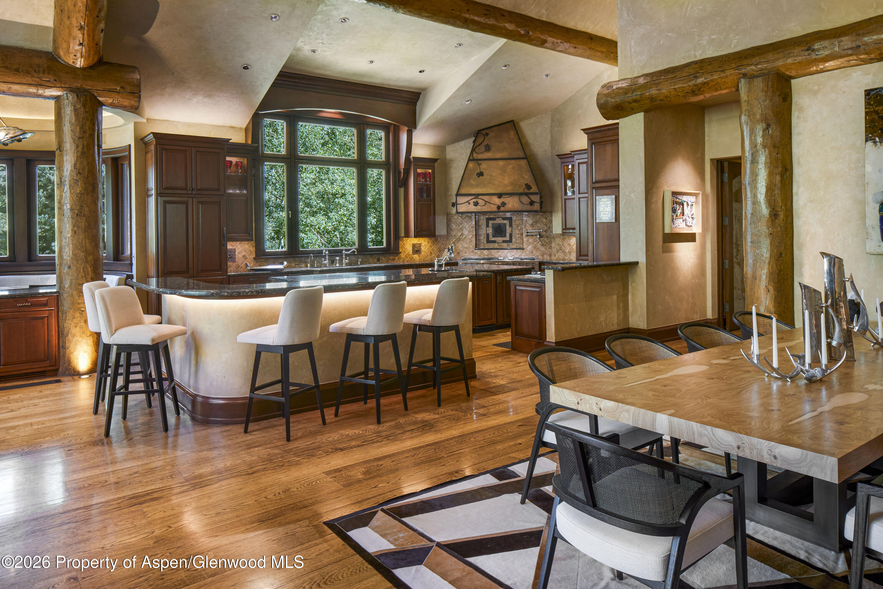928 S Mill Street Aspen CO 81611