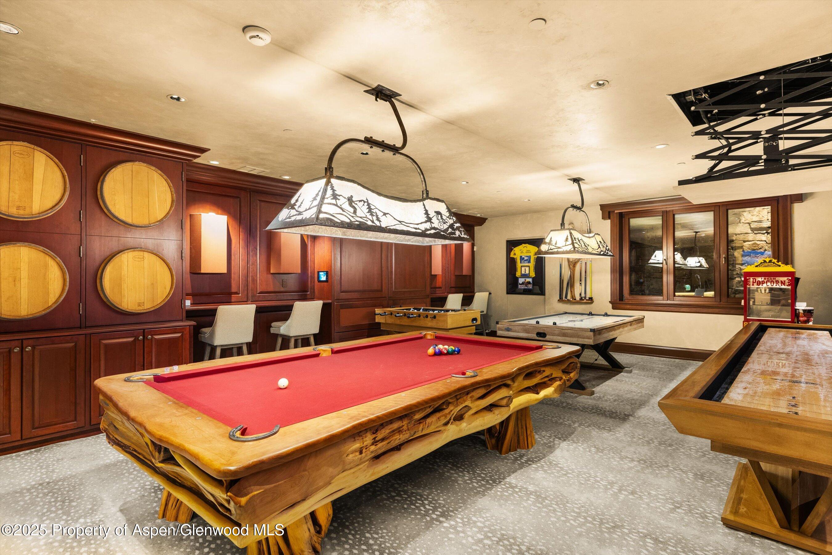 928 S Mill Street Aspen CO 81611