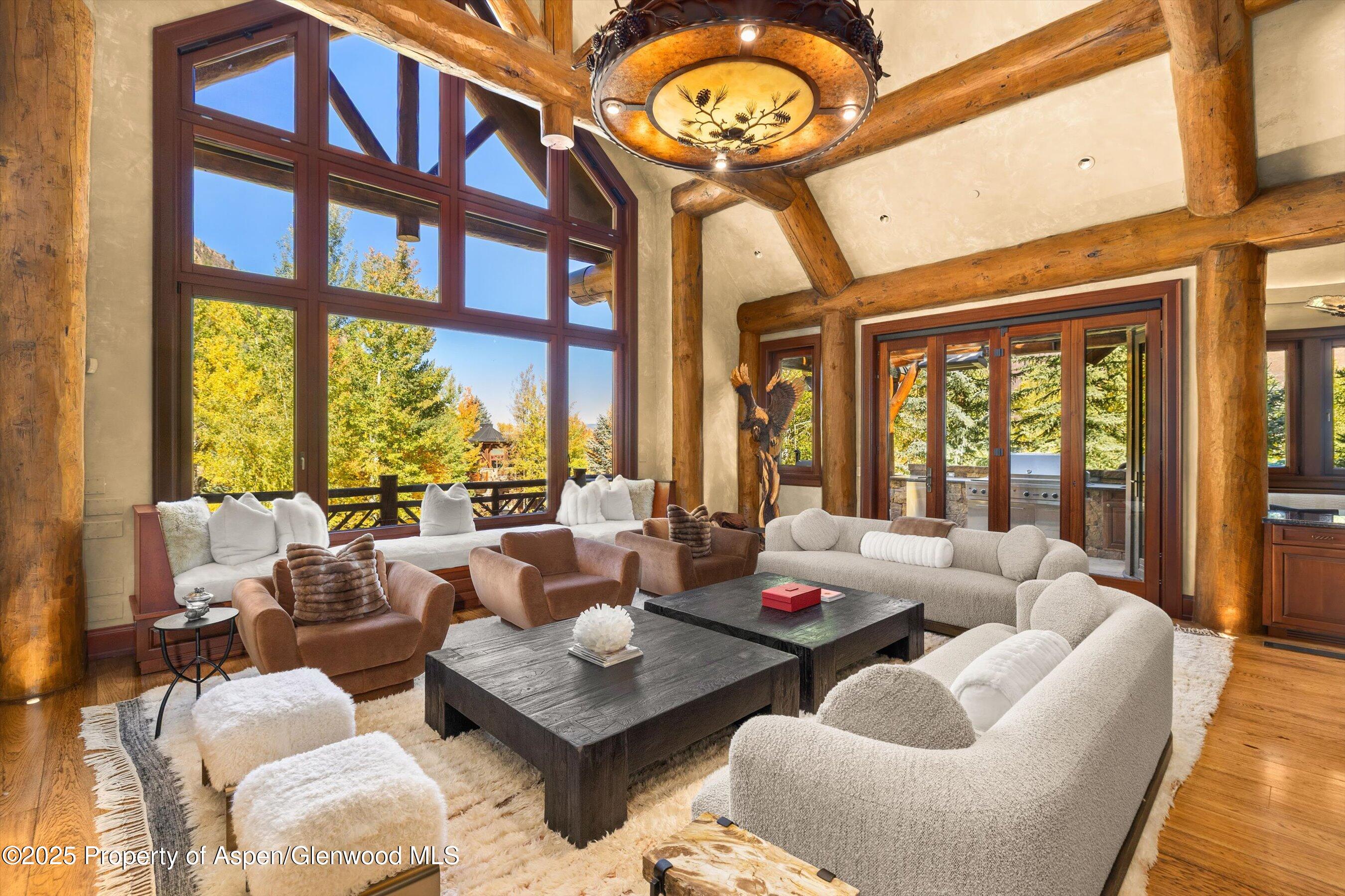 928 S Mill Street Aspen CO 81611