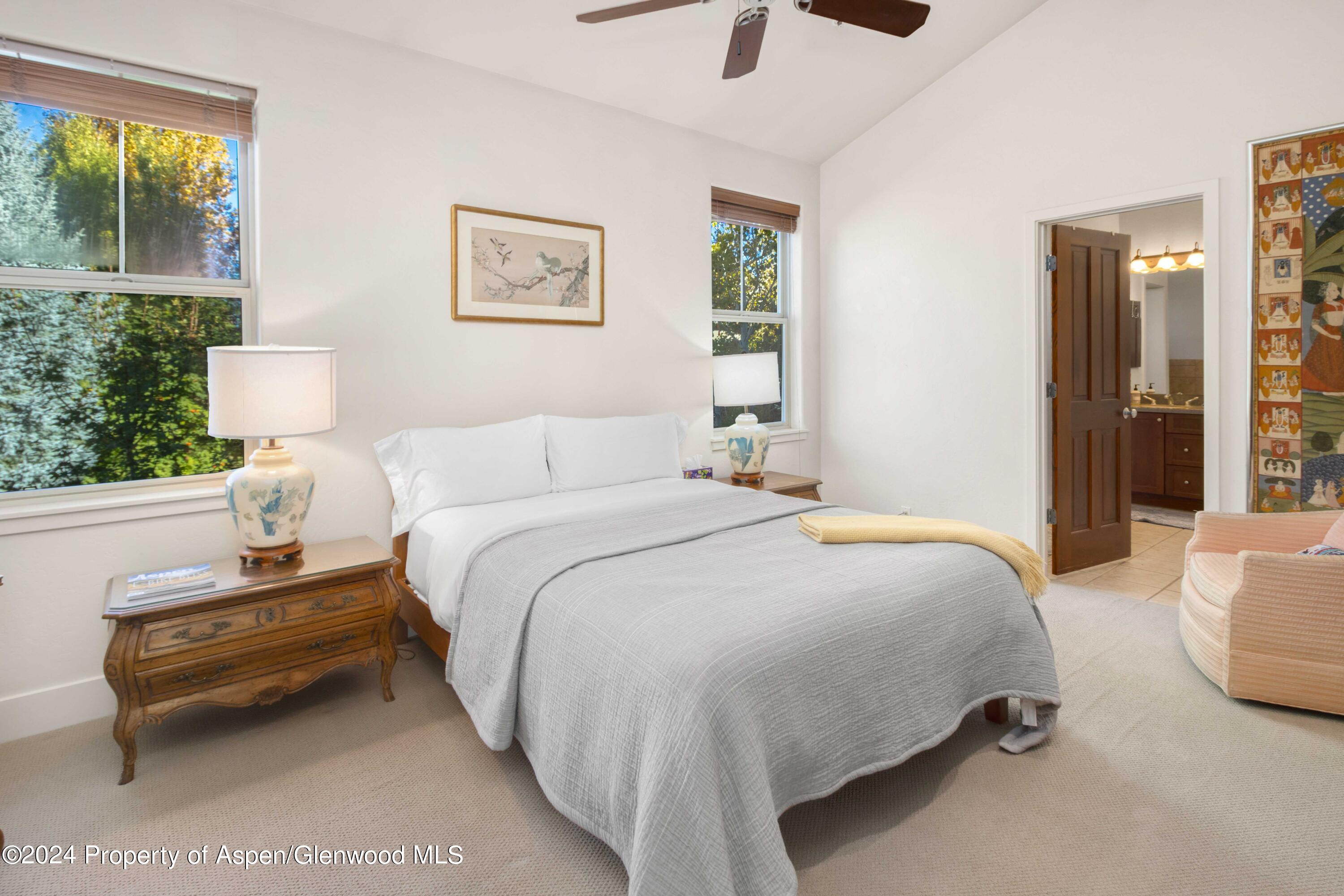 532 Evans Court Basalt CO 81621