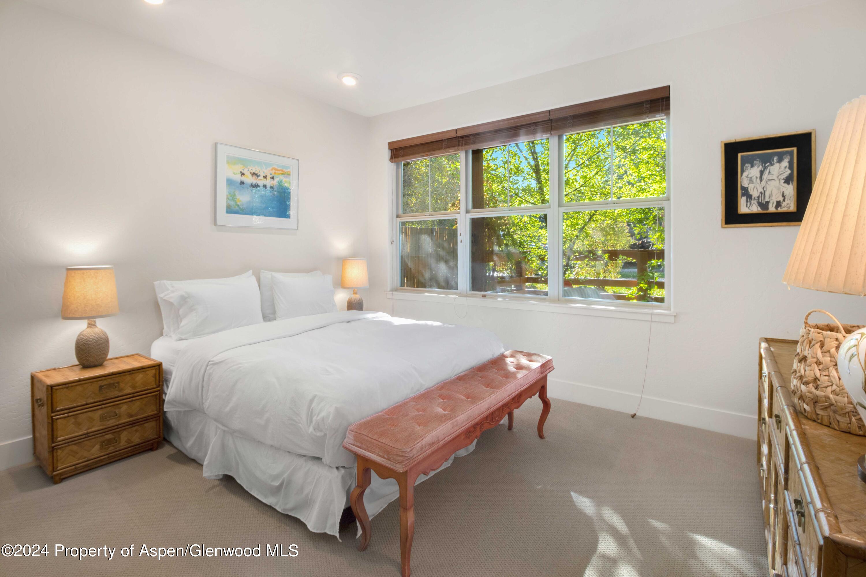 532 Evans Court Basalt CO 81621