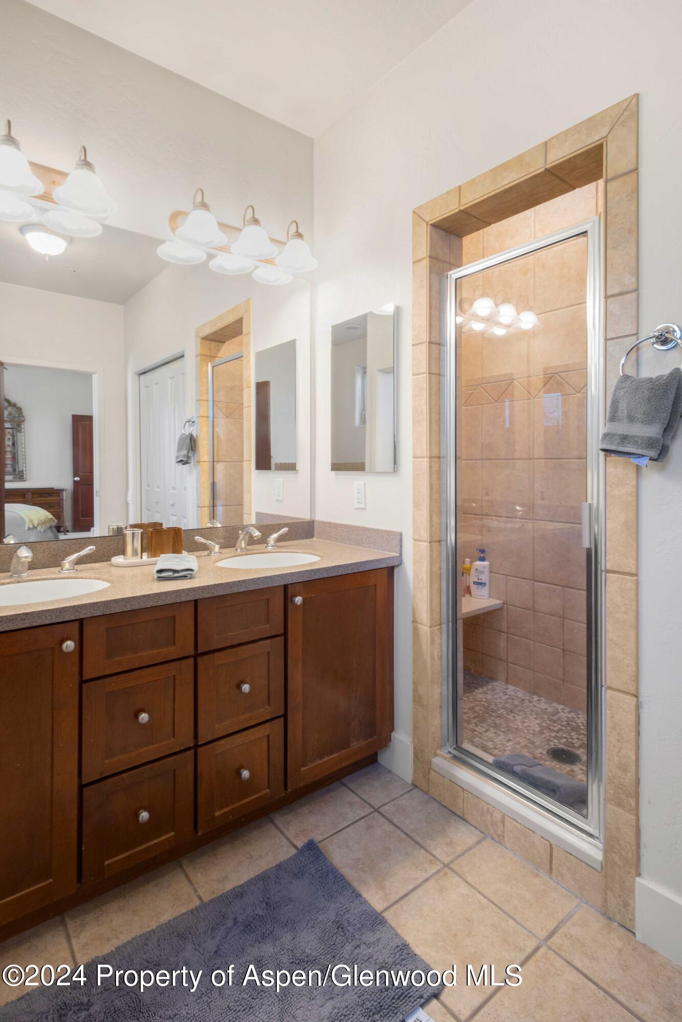 532 Evans Court Basalt CO 81621