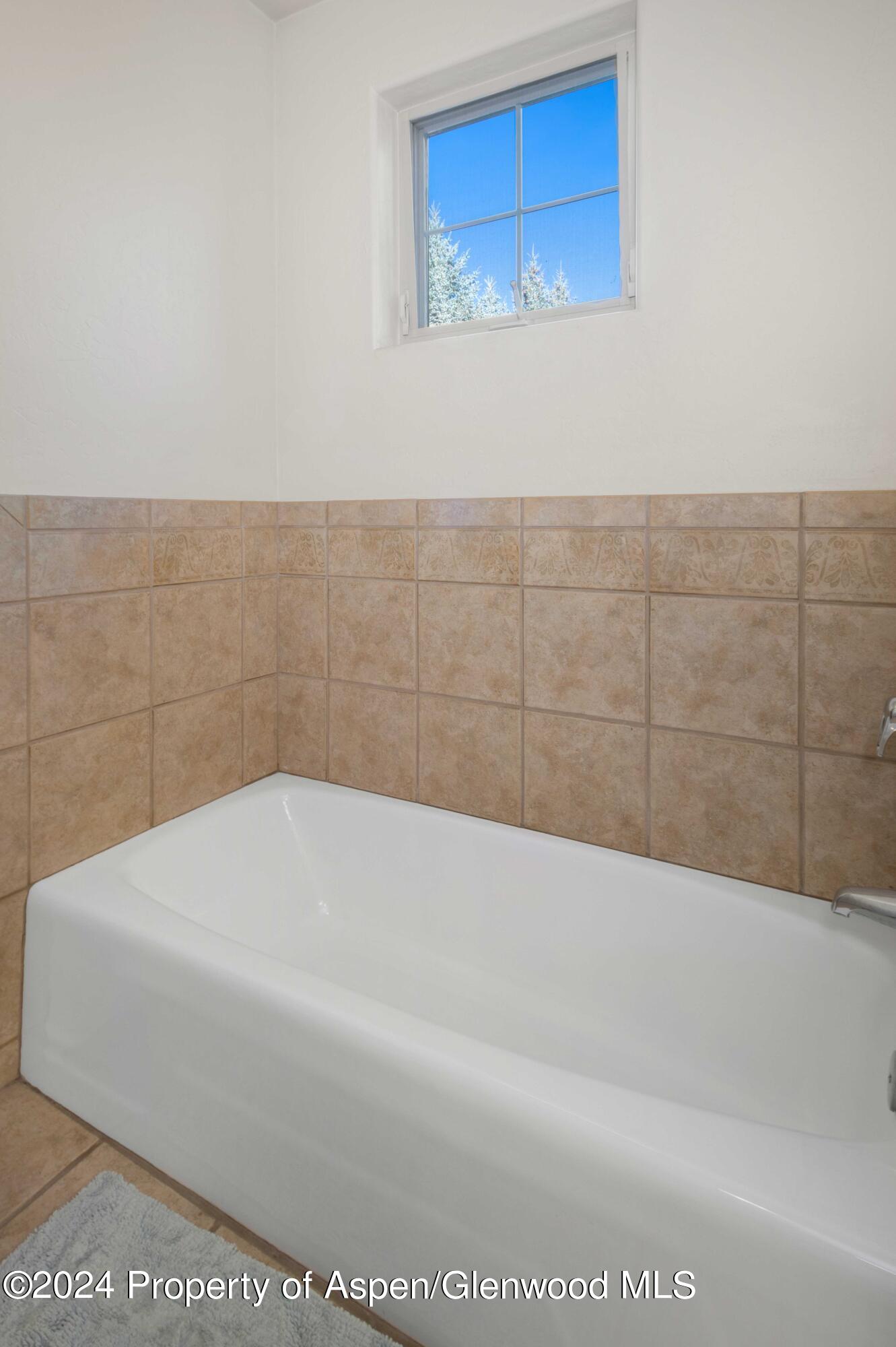532 Evans Court Basalt CO 81621
