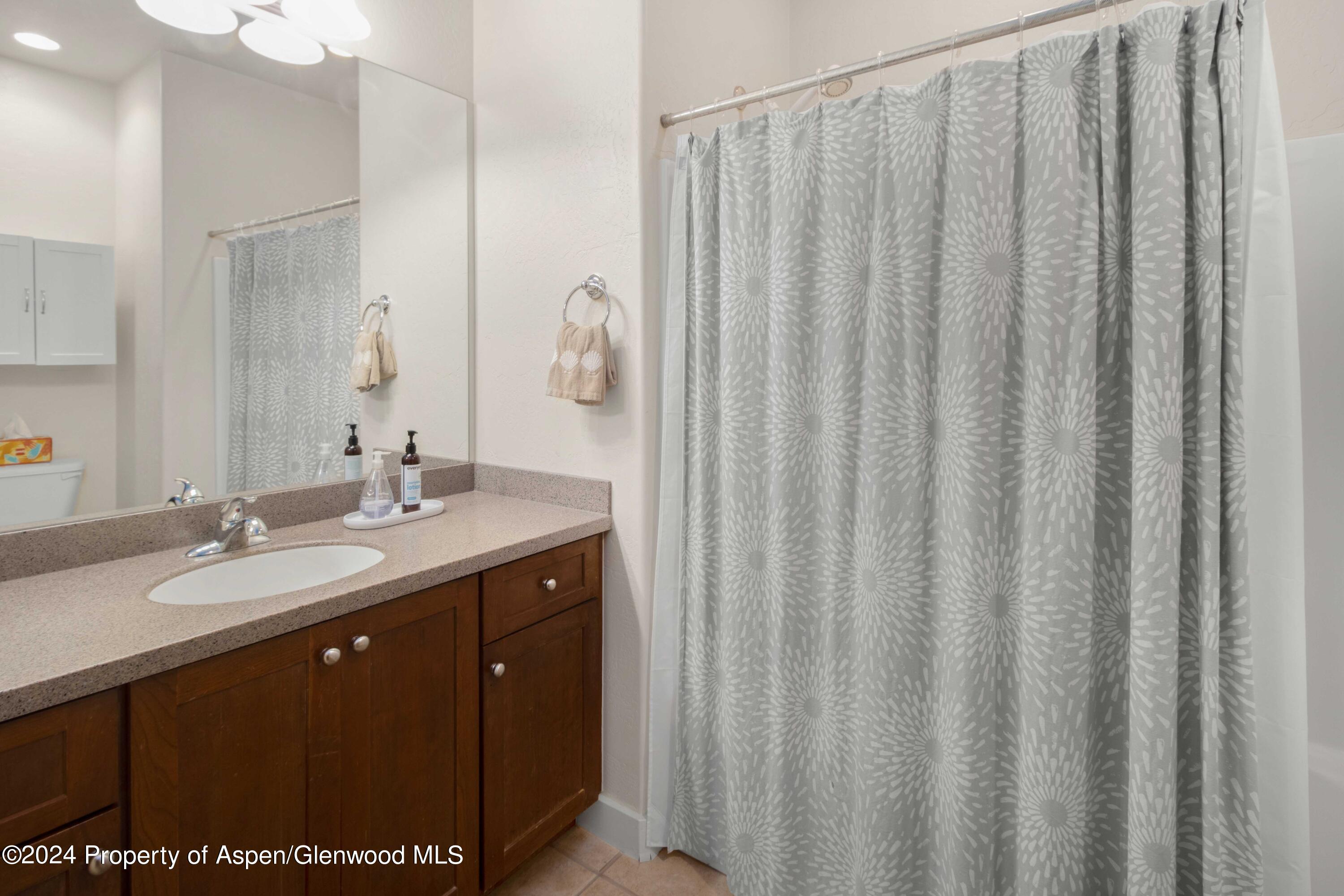 532 Evans Court Basalt CO 81621